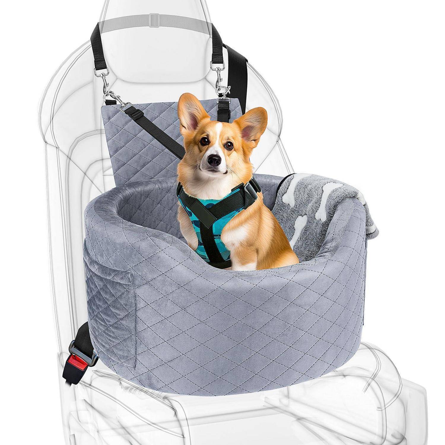 Kleiner Hund in einer gesteppten grauen Autositzerhöhung, gesichert mit einem Geschirr in einer durchsichtigen Sitzillustration.