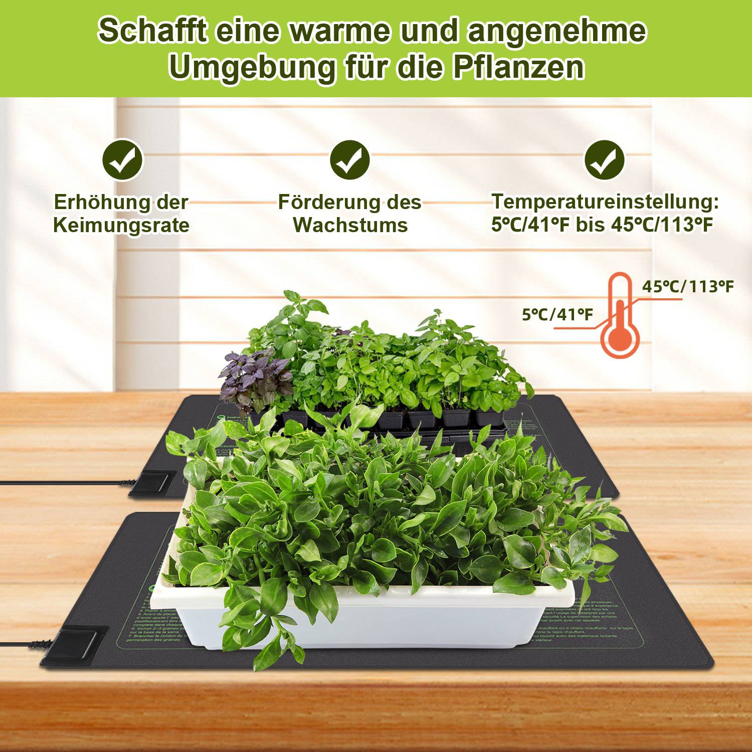 Beheizte Pflanzenschalen auf einem Holztisch, mit deutschem Text, der besagt, dass eine warme Umgebung die Keimung und das Wachstum fördert; Temperatur einstellbar von 5°C bis 45°C.