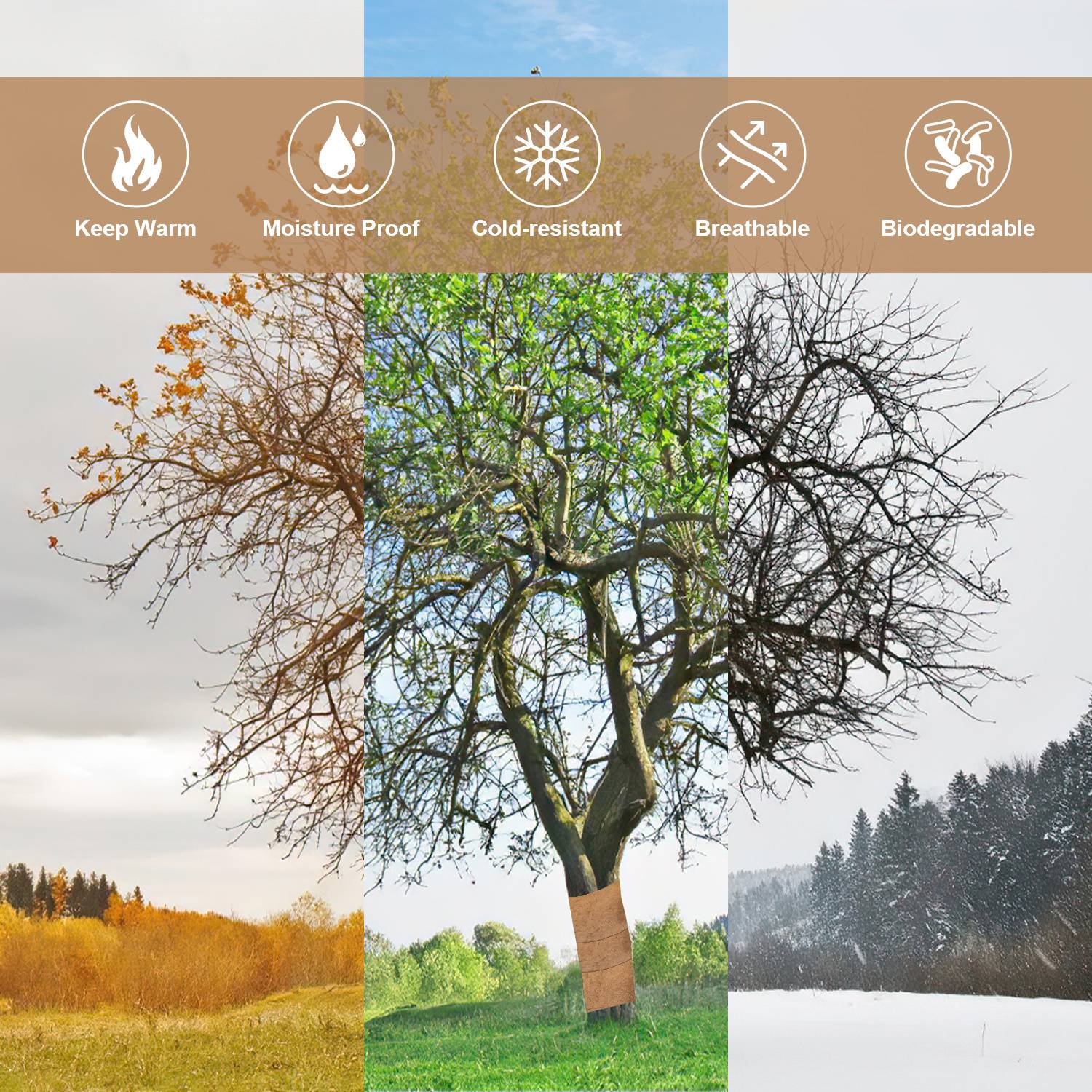 Umweltfreundlicher Baumschutz oder Baumwickel, dargestellt als wärmespeichernd, feuchtigkeitsabweisend, kältebeständig, atmungsaktiv und biologisch abbaubar, mit Saisonalbildern von Bäumen in verschiedenen Klimazonen.