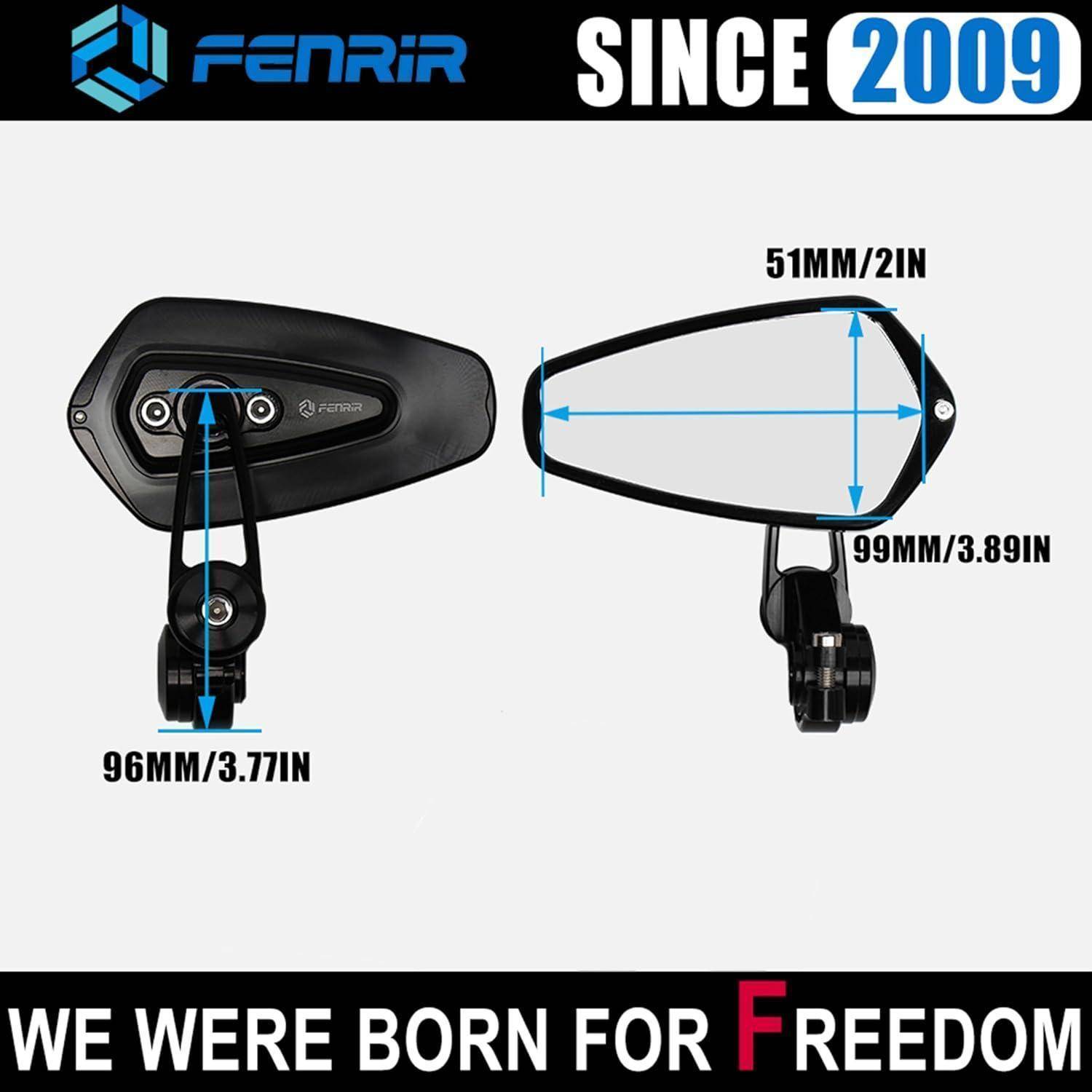 FENRIR Motorradspiegelbild mit Größenmessungen: 96 mm Höhe, 99 mm Länge, 51 mm Breite und Text „SEIT 2009