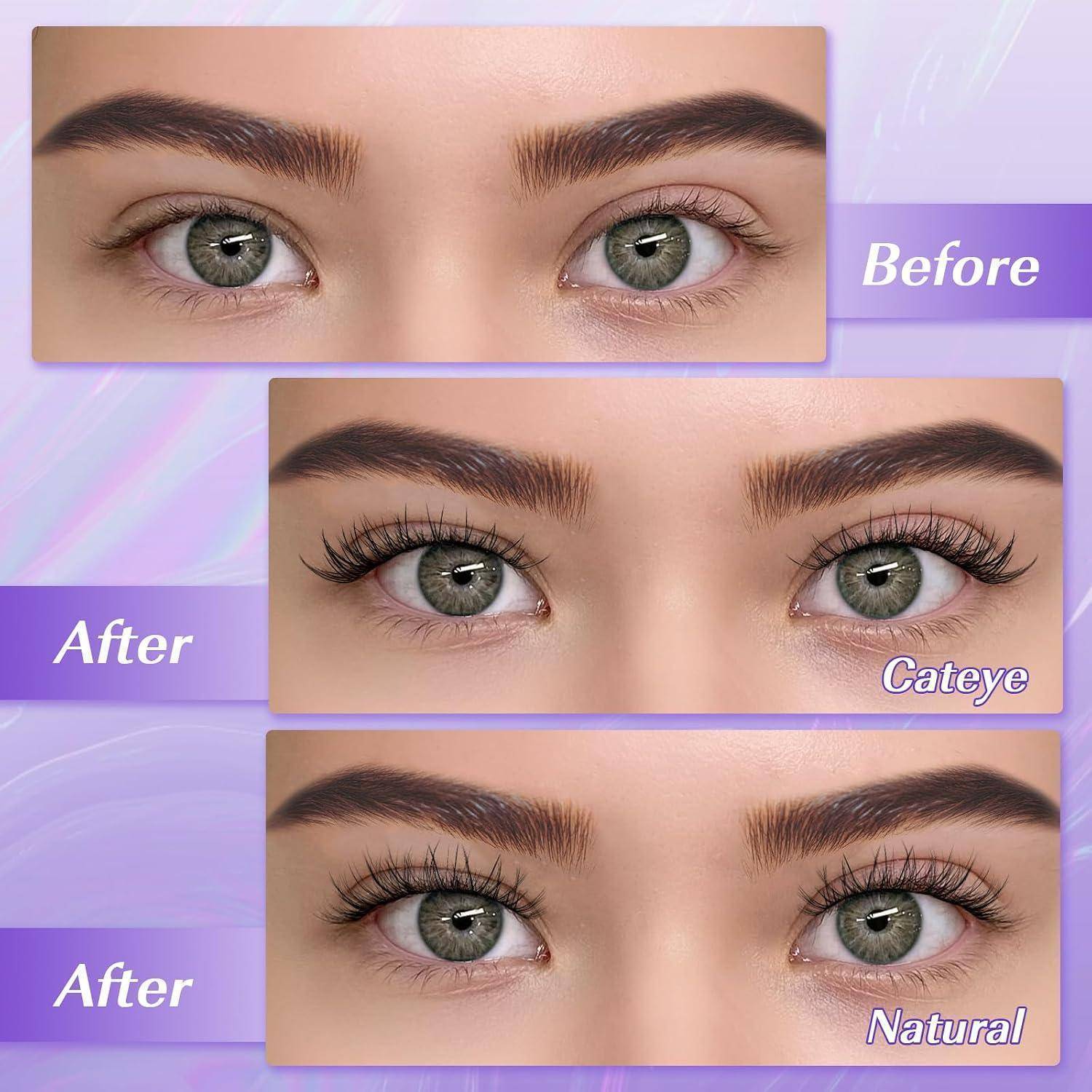 Vergleichsbild von Augen und Augenbrauen mit den Bezeichnungen 