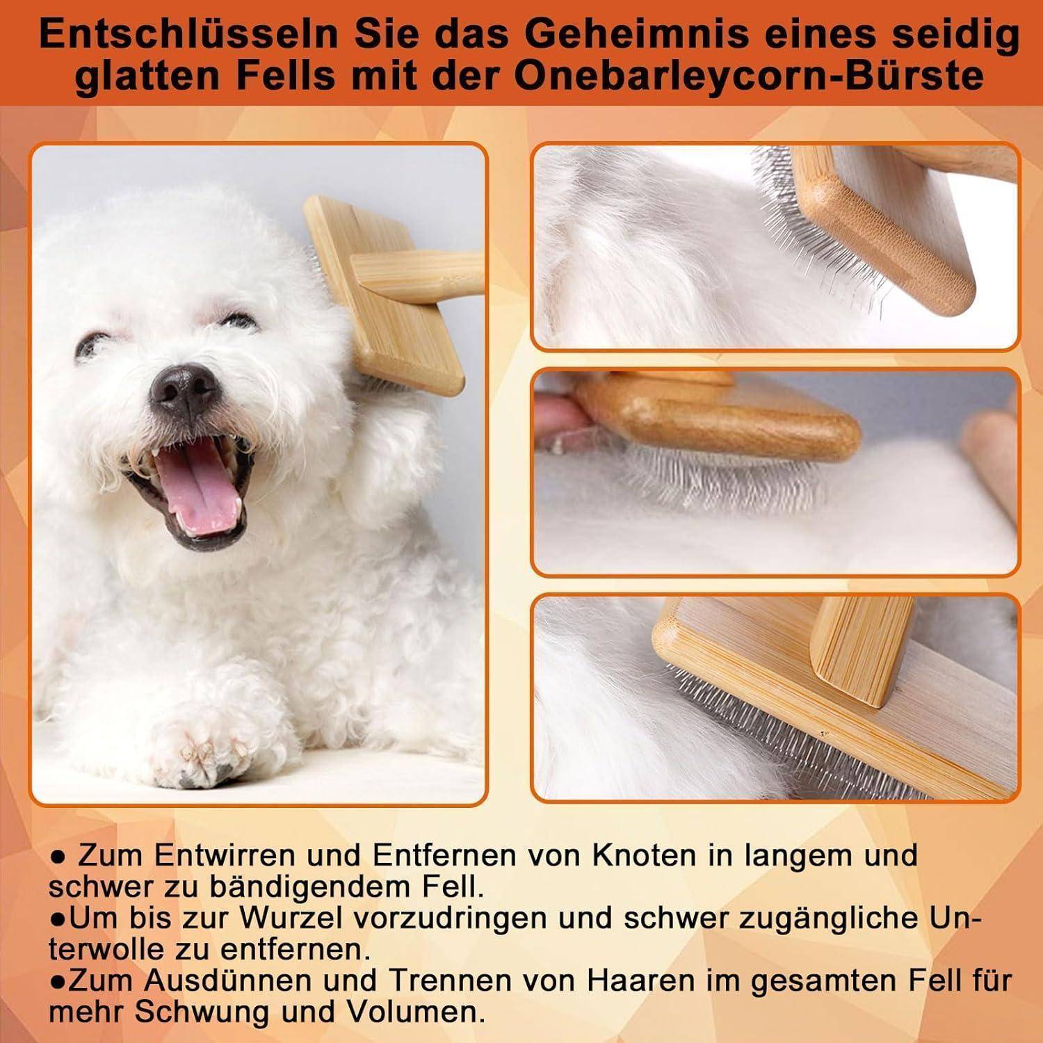# Deutscheige Haustierpflege-Anzeige mit einem flauschigen weißen Hund, der mit einer 