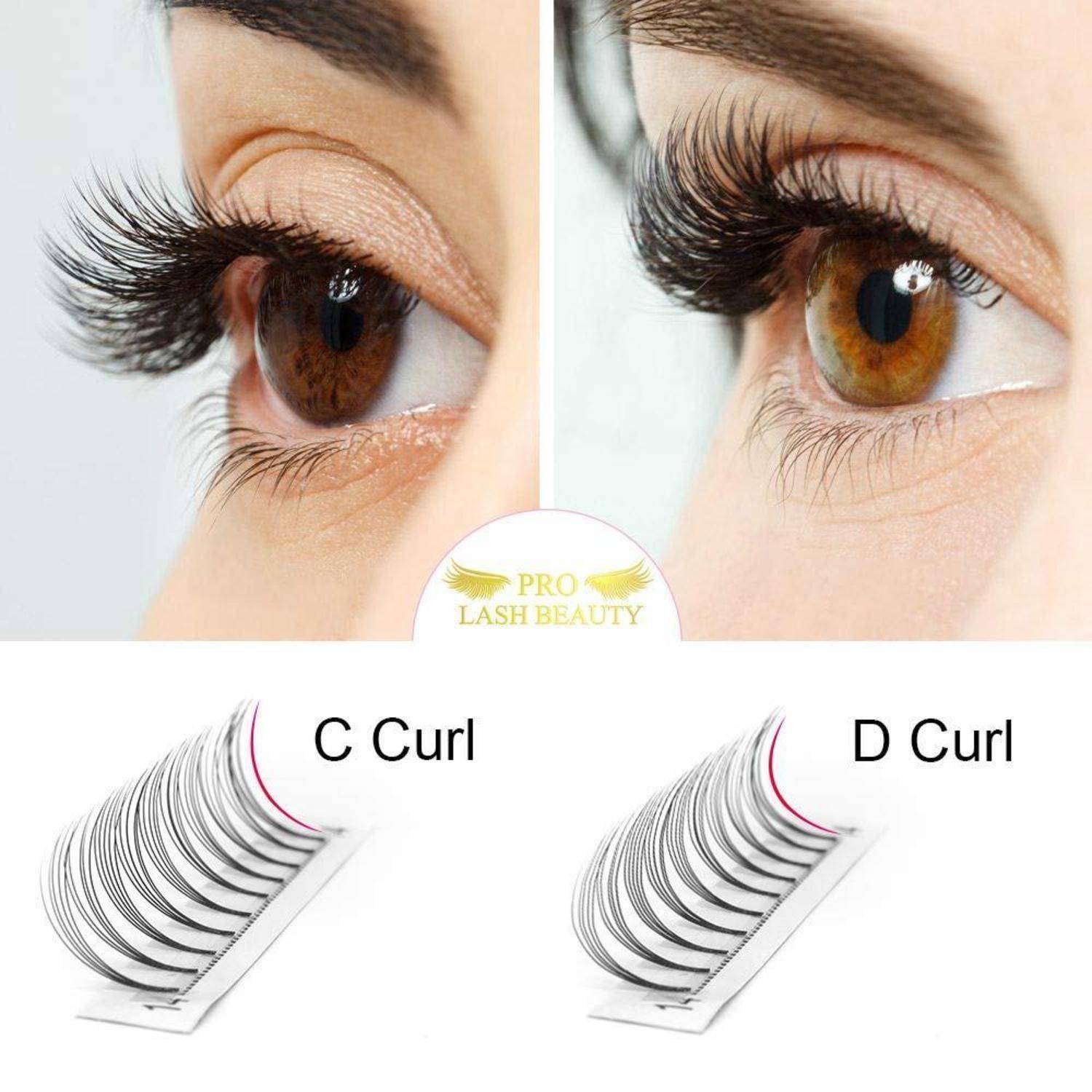 Vergleich von Wimpernverlängerungen aufgeteilt: C-Curl auf der linken Seite und dramatischerer D-Curl auf der rechten Seite, mit detaillierten Augenbeispielen und beschrifteten Wimpernpaletten darunter.