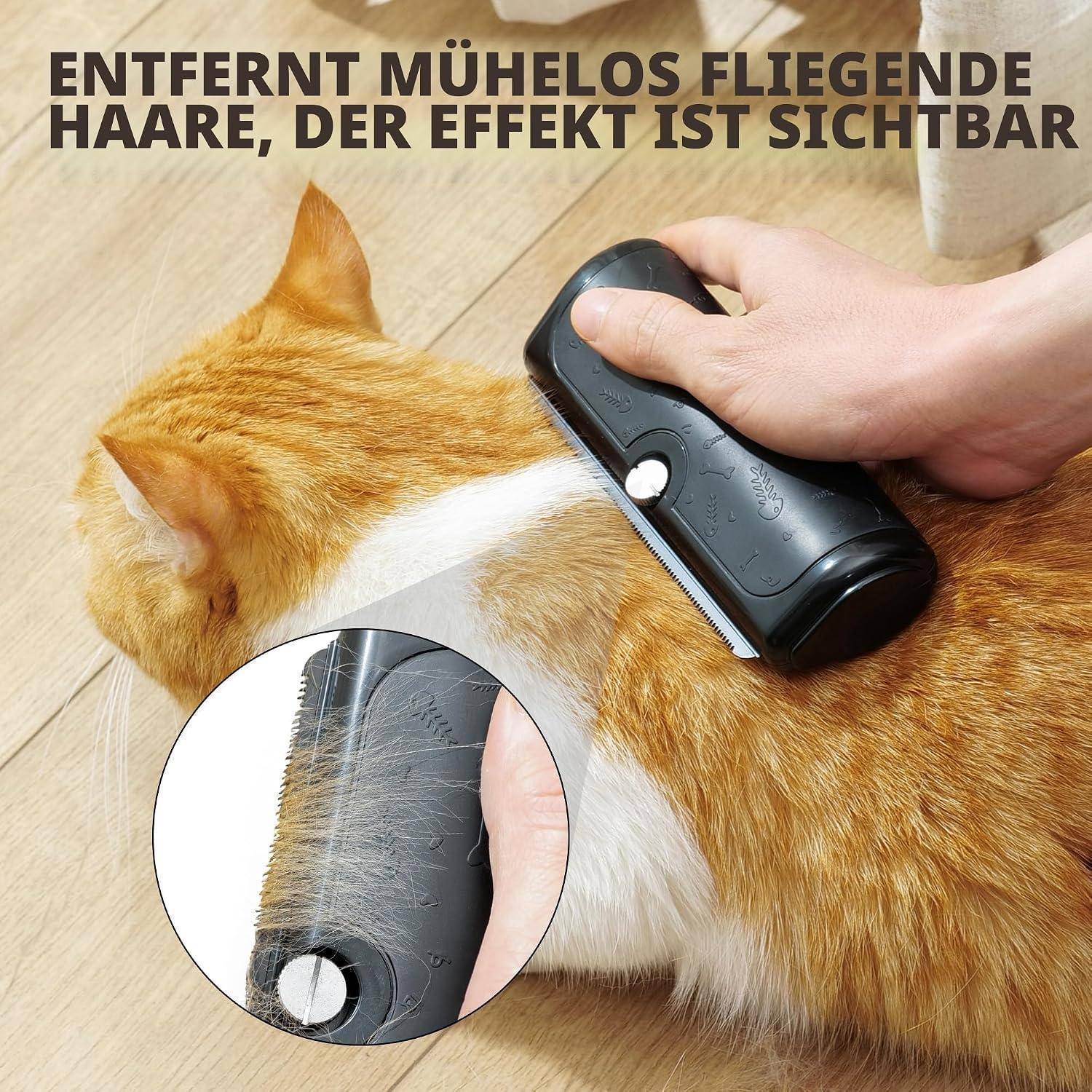 Hand, die einen Haustierpflegekamm benutzt, um loses Fell von einer orange-weißen Katze zu entfernen; die Vergrößerung zeigt Fell, das sich auf dem Kamm gesammelt hat.