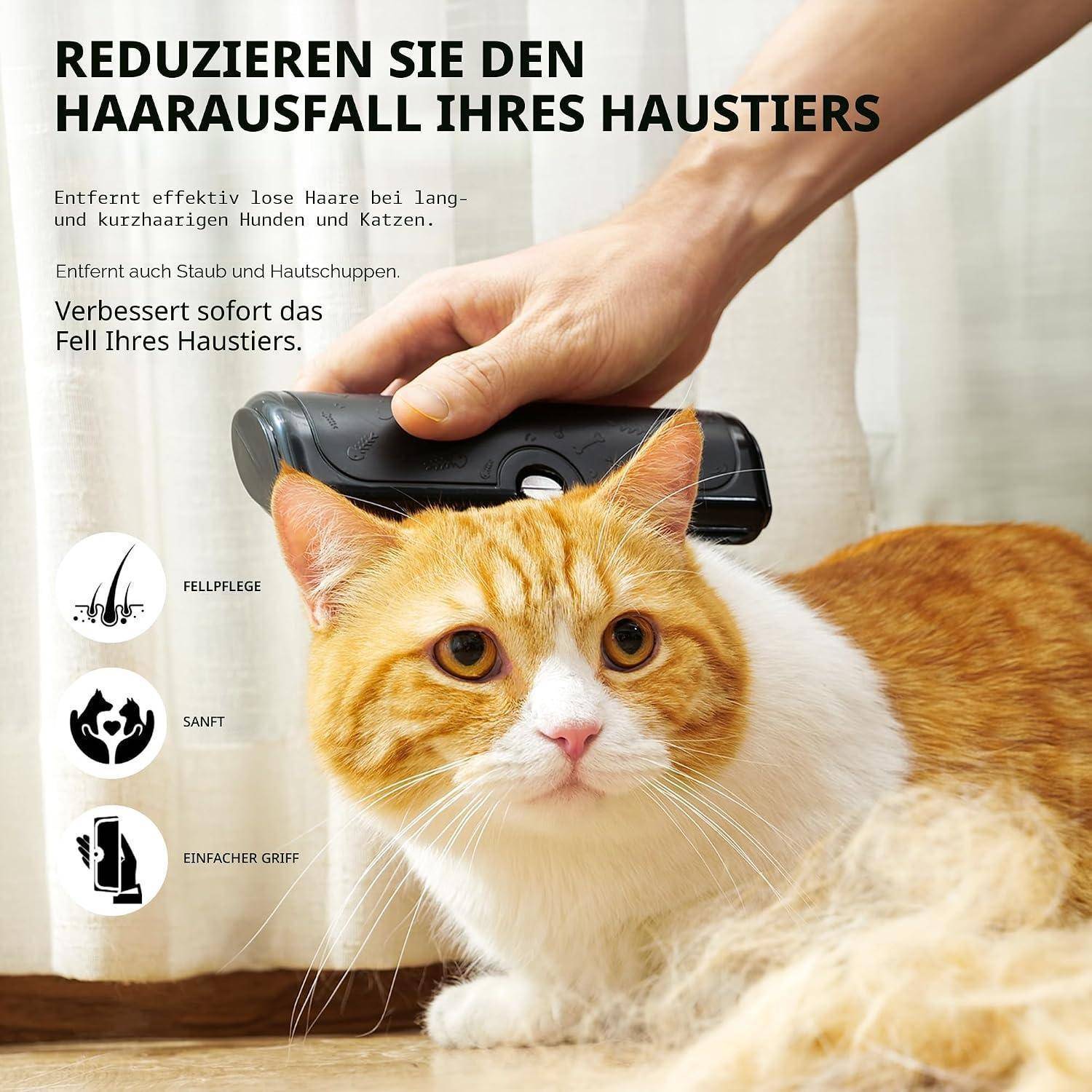 Deutscher Tierhaarentferner-Anzeige mit einer Hand, die eine orange-weiße Katze bürstet; Der Text besagt, dass es Tierhaare reduziert, Schmutz und Haarausfall entfernt und das Fell sofort verbessert.