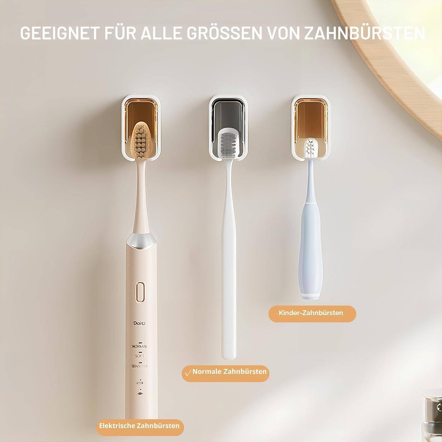 Drei Zahnbürstentypen werden unter der deutschen Überschrift 