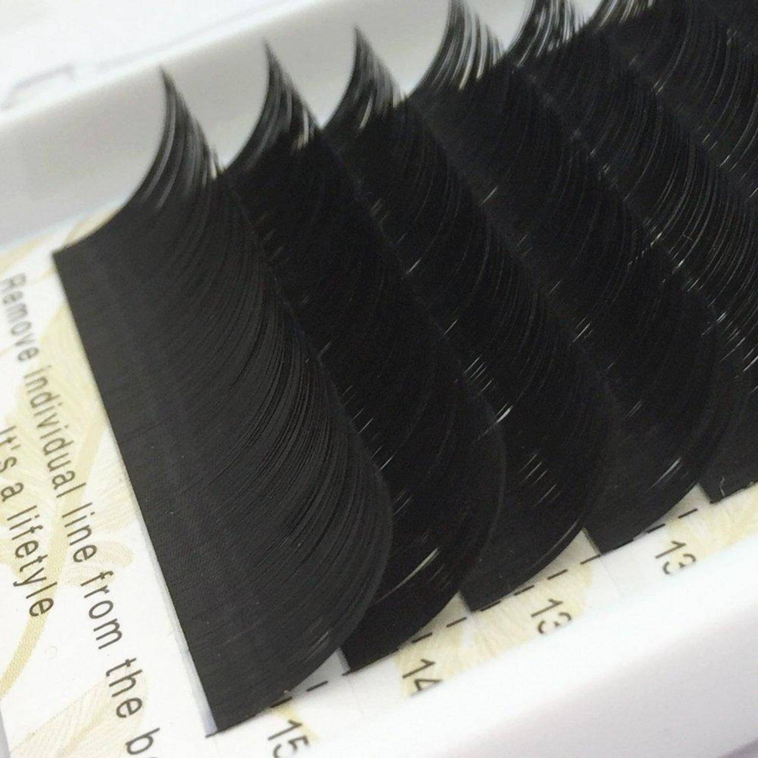 Nahaufnahme von schwarzen Wimpernverlängerungsstreifen, die in einer Schachtel angeordnet sind und gebogene synthetische Wimpernfächer auf einem beschrifteten Tablett zeigen.