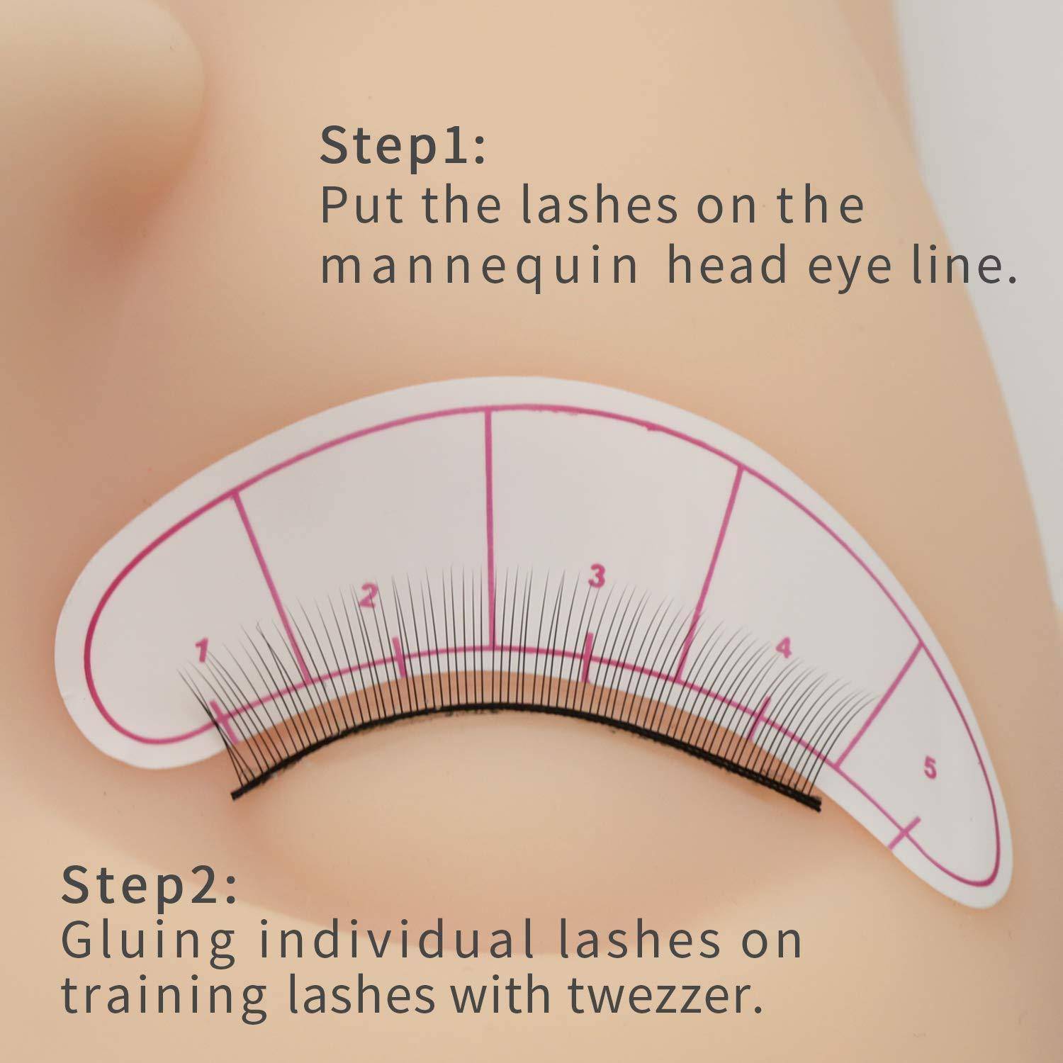 Anleitungsgrafik zeigt Schritt 1: Wimpern auf der Augenlinie des Mannequin-Kopfes platzieren, und Schritt 2: einzelne Wimpern mit einer Pinzette auf Trainings-Wimpern kleben.