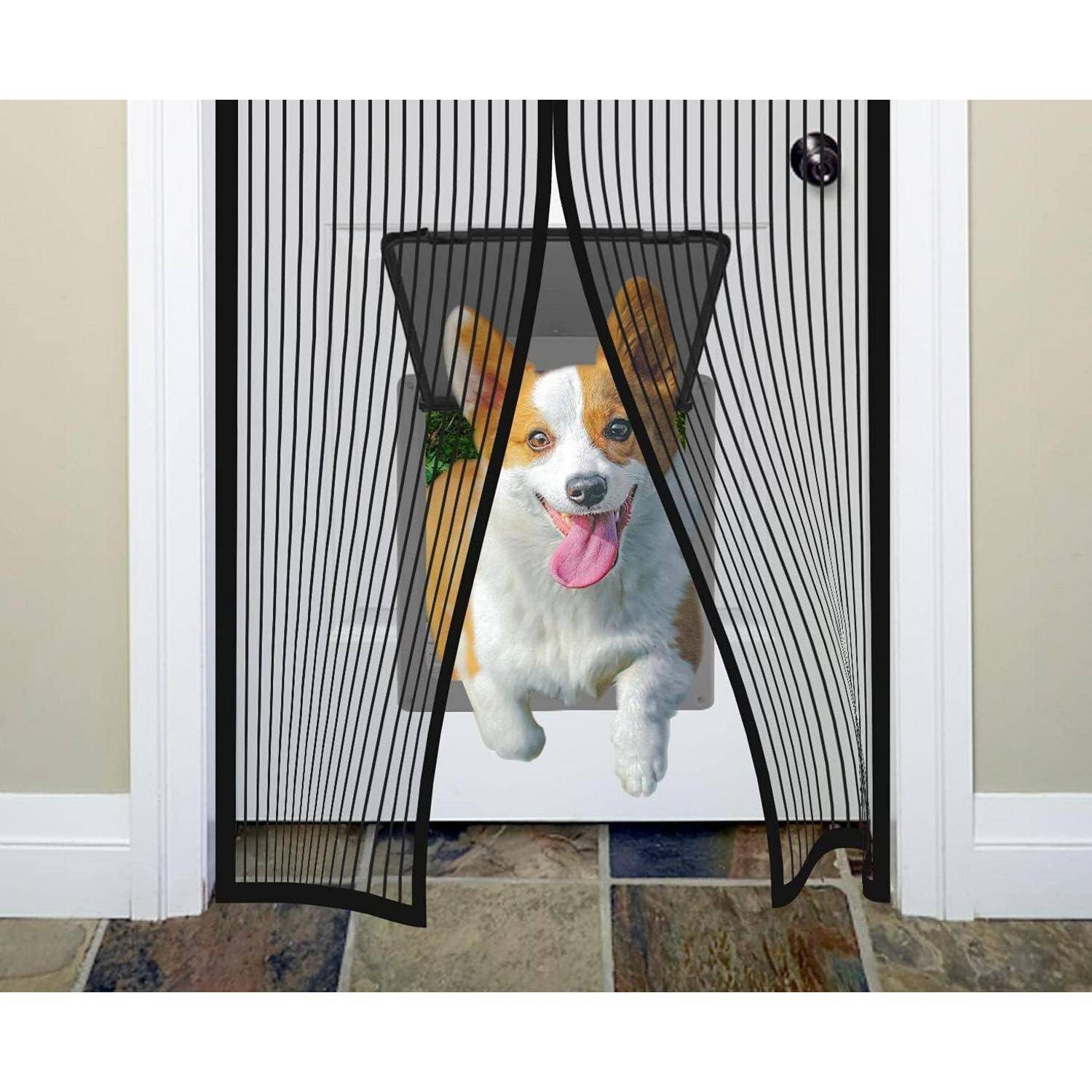 Ein Corgi steht in einer Türöffnung hinter einem schwarzen magnetischen Fliegengitter, die Zunge herausgestreckt, und scheint durch die Öffnung zu drücken.