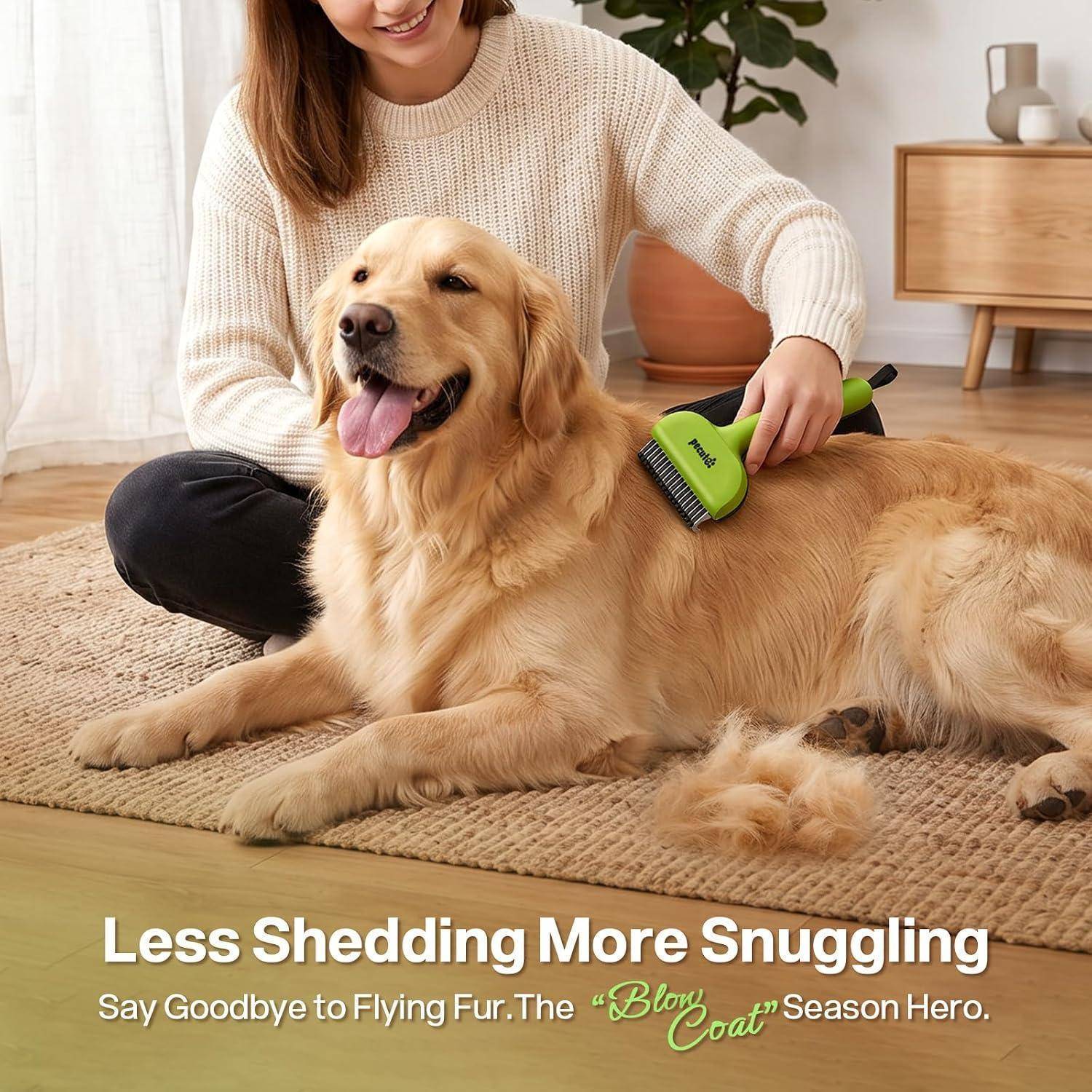 Eine Frau pflegt einen Golden Retriever mit einer grünen Bürste auf einem Teppich; Text lautet „Weniger Haarverlust, mehr Kuschelzeit