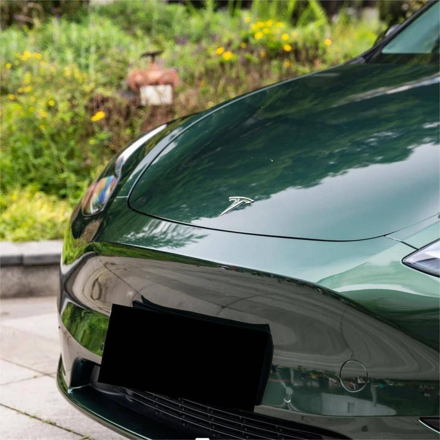 Nahaufnahme von vorne eines dunkelgrünen Tesla-Autos, das im Freien geparkt ist und das Motorhaube-Logo, den Scheinwerfer, den Kühlergrill und das unscharfe Kennzeichen zeigt.