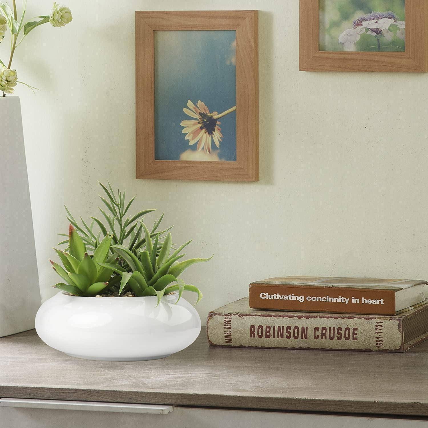 Ein weißer Blumenkübel mit grünen Sukkulenten steht auf einem Holzregal neben gestapelten Büchern, darunter 
