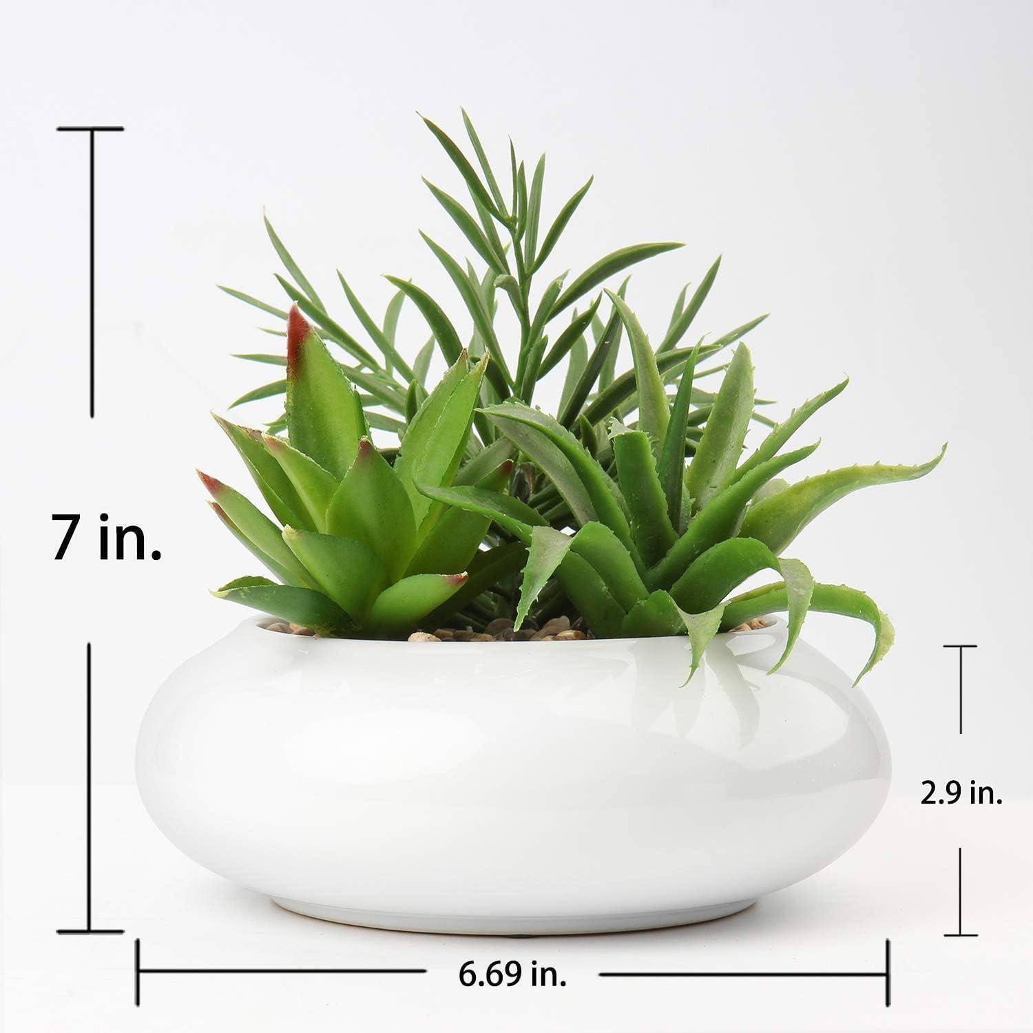 Weißer ovaler Blumenkübel mit gemischten Sukkulenten, gezeigt mit 7 Zoll Höhe, 6,69 Zoll Breite und 2,9 Zoll Tiefe.