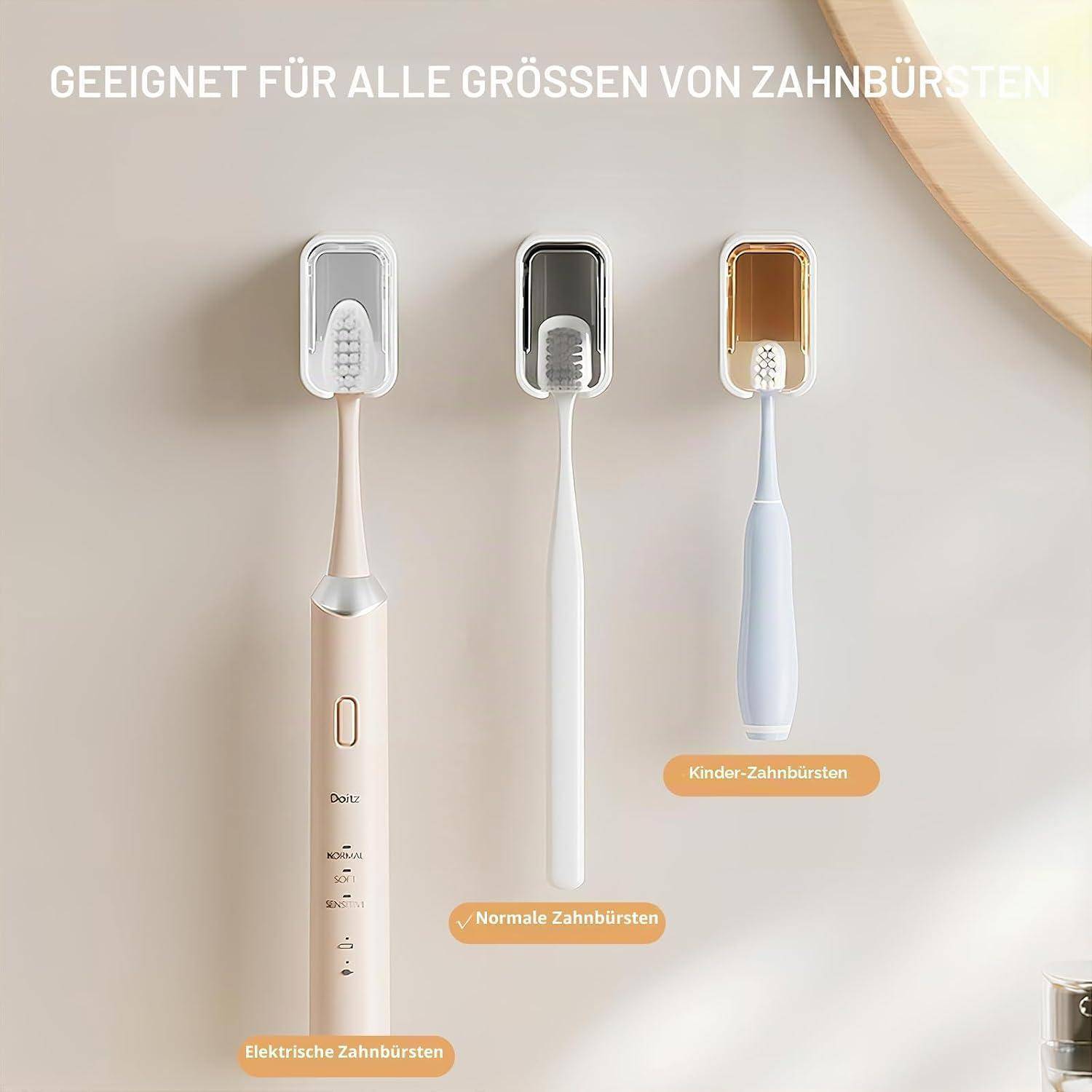 Illustration zeigt Zahnbursthalter für alle Größen: elektrische Zahnbürsten, normale Zahnbürsten und Kinder-Zahnbürsten mit deutschen Beschriftungen.