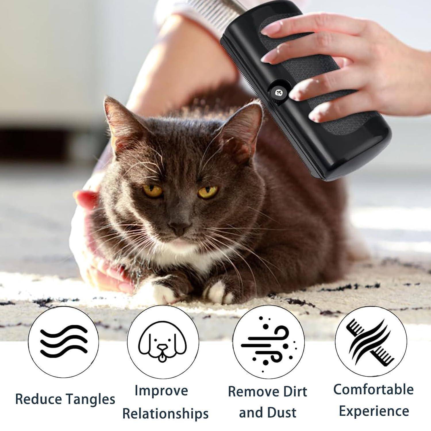 Person brushing a cat with a grooming tool, mit Symbolen, die Vorteile hervorheben: Verwicklungen reduzieren, Beziehungen verbessern, Schmutz und Staub entfernen, und angenehmes Erlebnis.