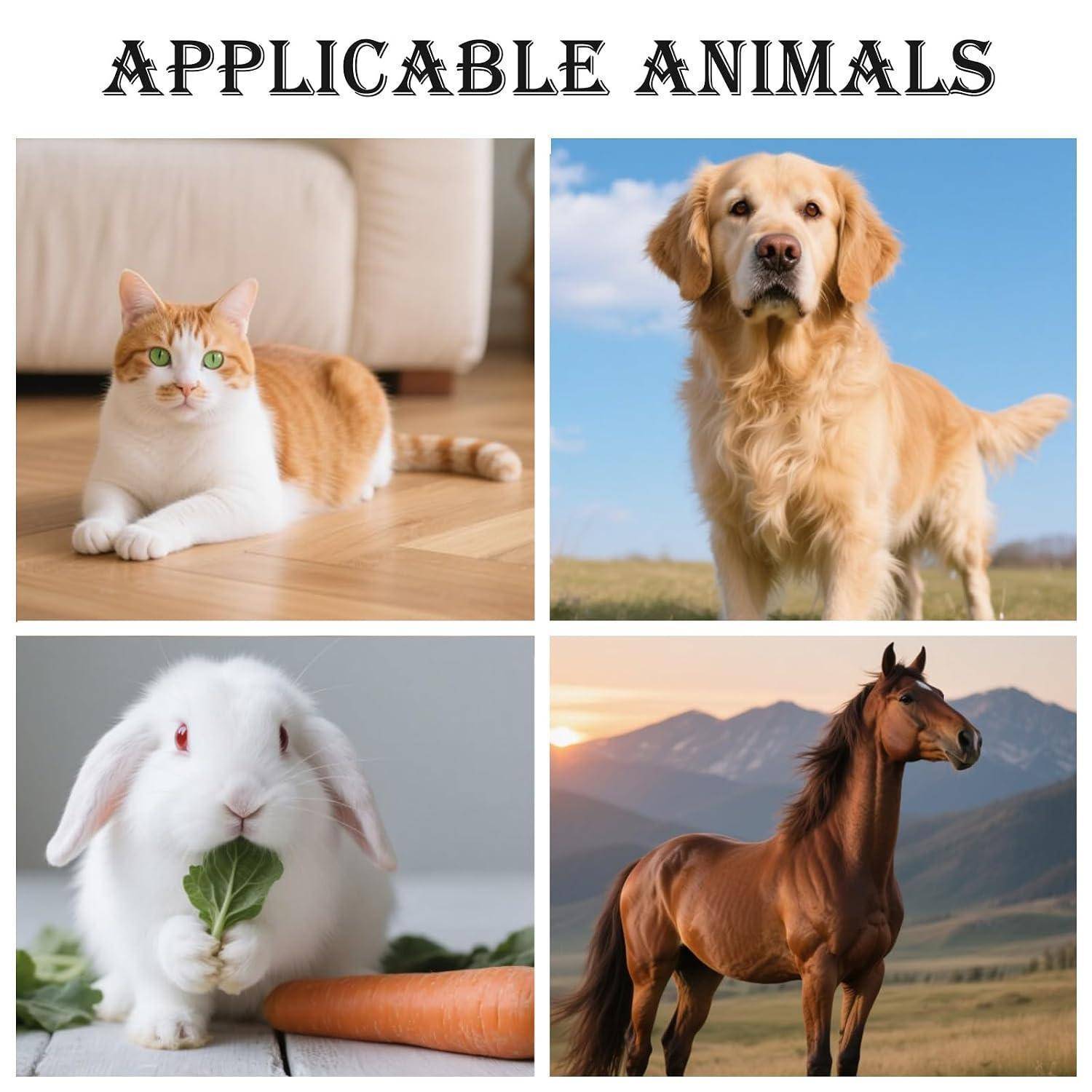 Collage mit dem Titel „APPLICABLE ANIMALS