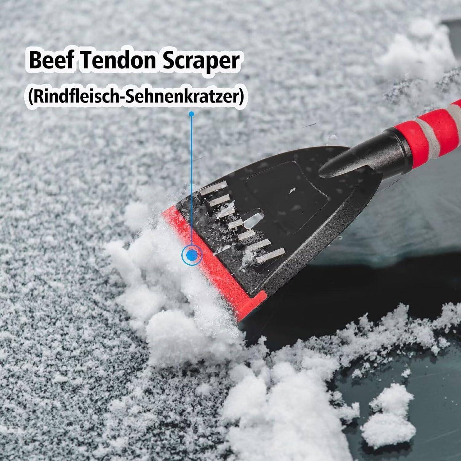 Nahaufnahme eines „Rindfleisch-Sehnenkratzers