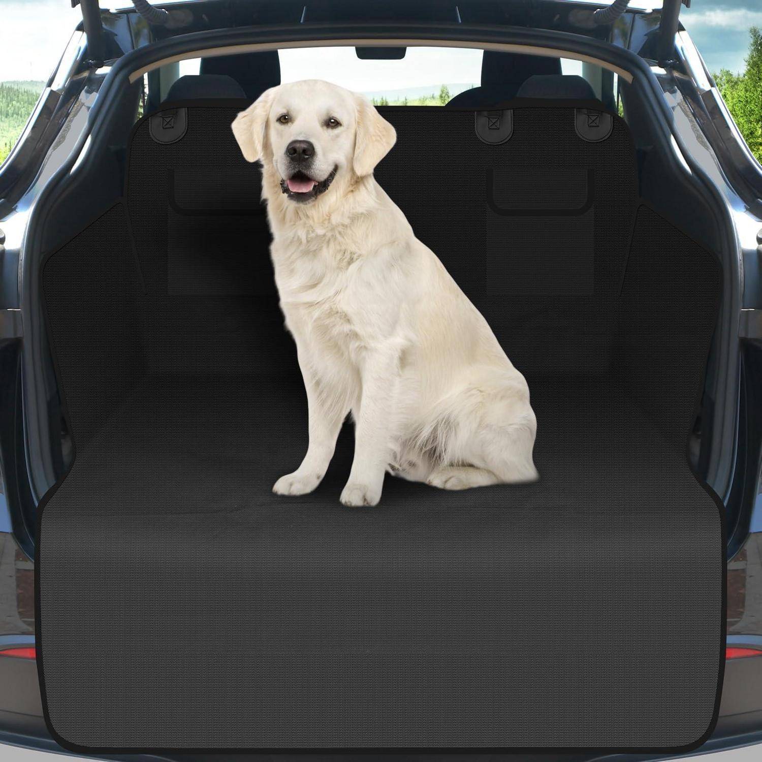 Ein gelber Labrador Retriever sitzt im offenen Ladebereich eines Autos mit erhobener Heckklappe.