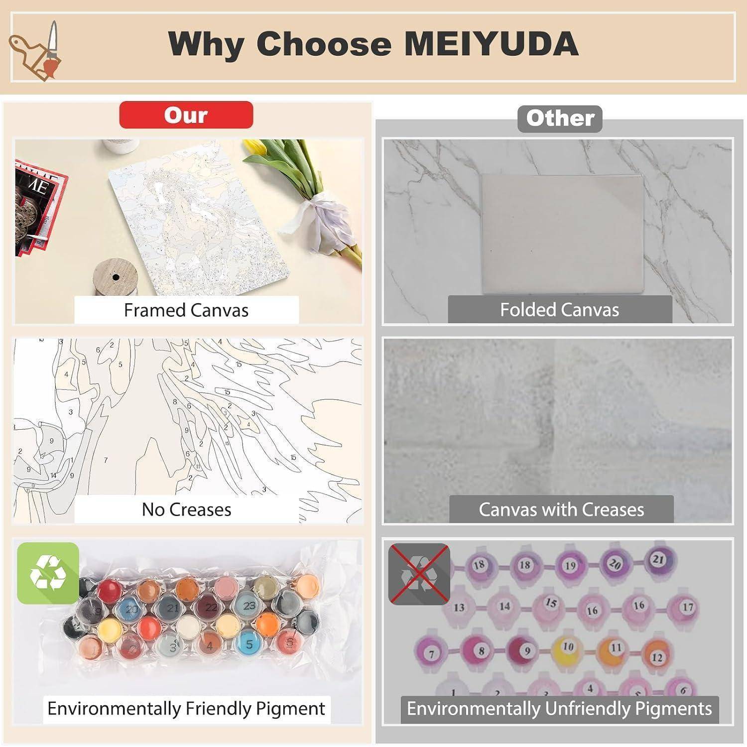Vergleichsgrafik, die die Vorteile von MEIYUDA zeigt: Leinwand in Rahmen ohne Falten und umweltfreundliche Pigmente gegenüber gefalteten, geknickte und umweltschädliche Alternativen.