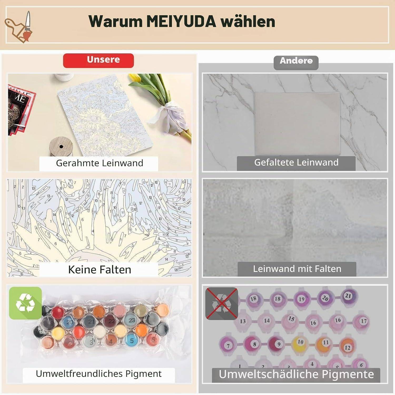 Vergleichsgrafik mit dem Titel „Warum MEIYUDA wählen