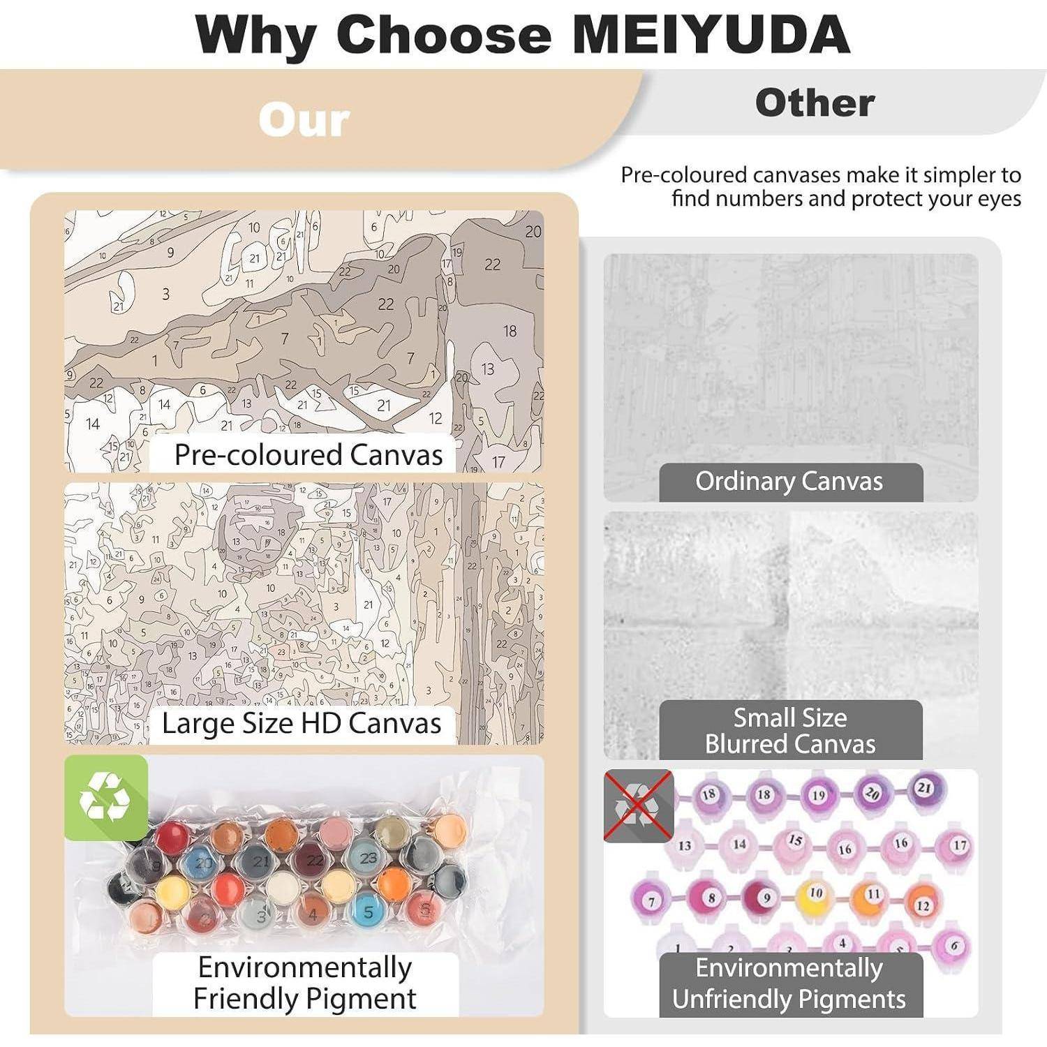 Vergleichsgrafik: MEIYUDA bietet vorgefärbte, große HD-Leinwände und umweltfreundliche Pigmente; andere Leinwände sind verschwommen, klein und weniger umweltfreundlich.