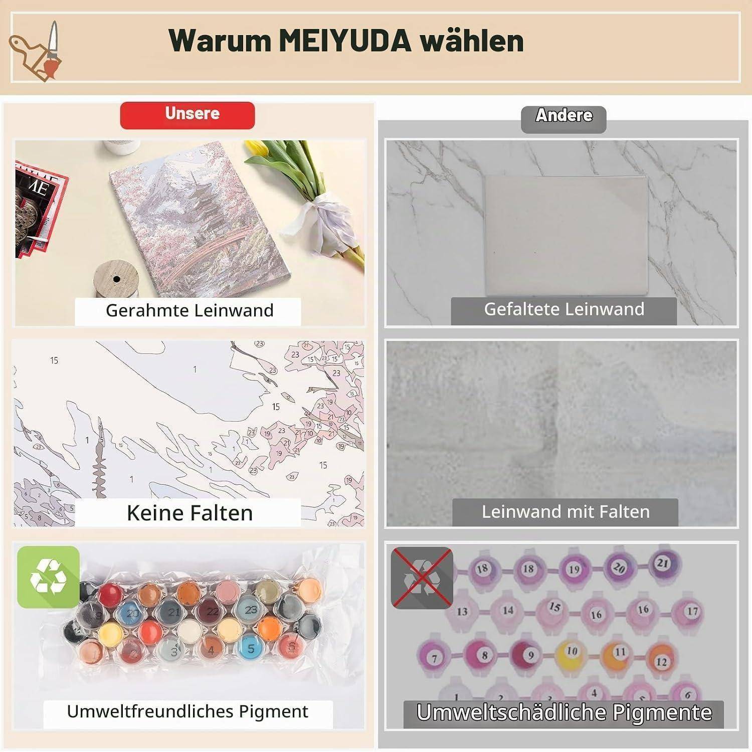 Vergleichsgrafik „Warum MEIYUDA wählen
