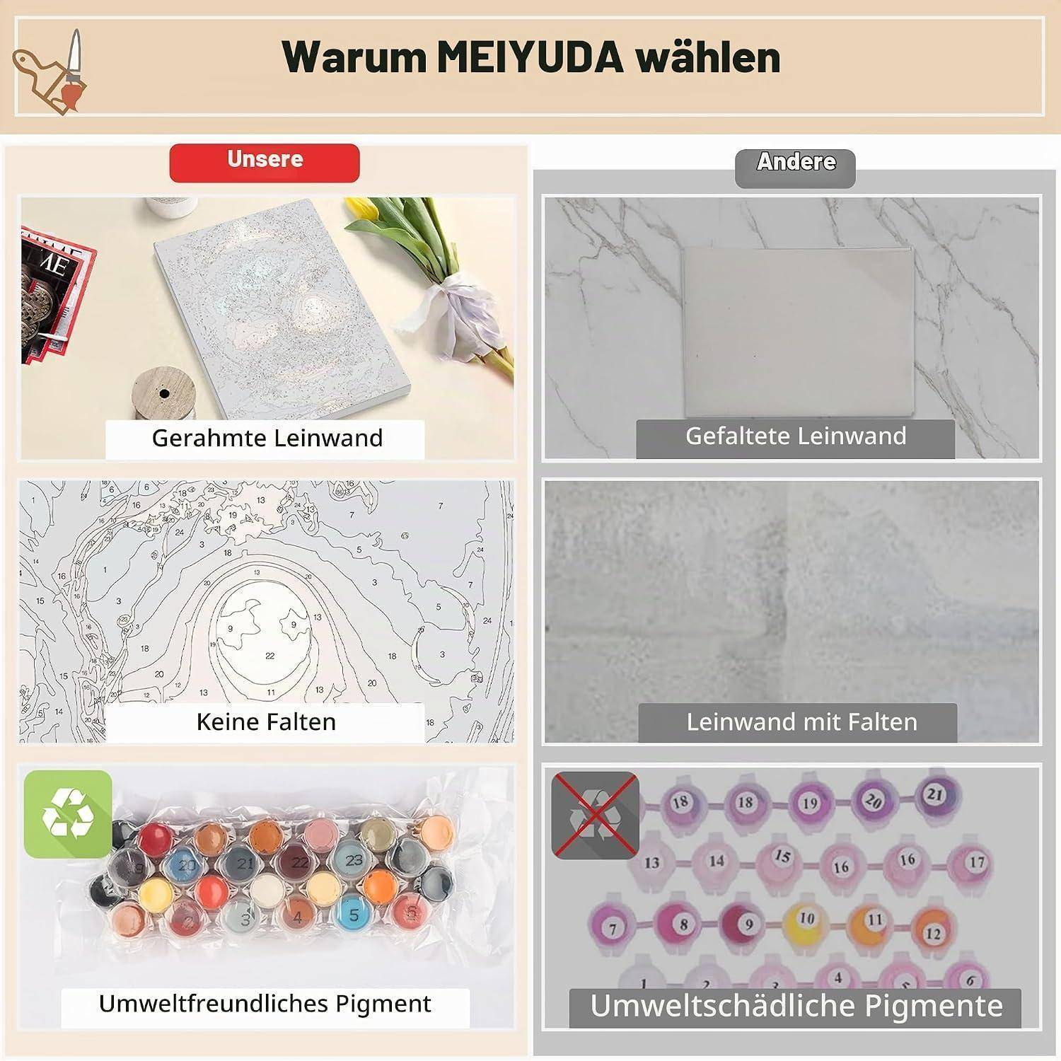 Deutsches Vergleichsgrafik „Warum MEIJUDA wählen
