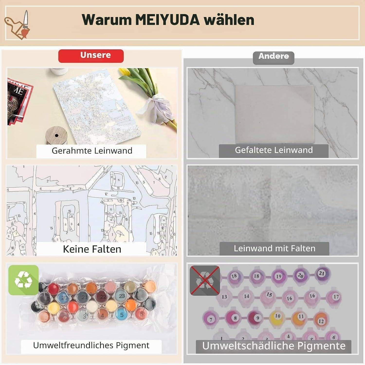 Vergleichsgrafik mit dem Titel „Warum MEIYUDA wählen