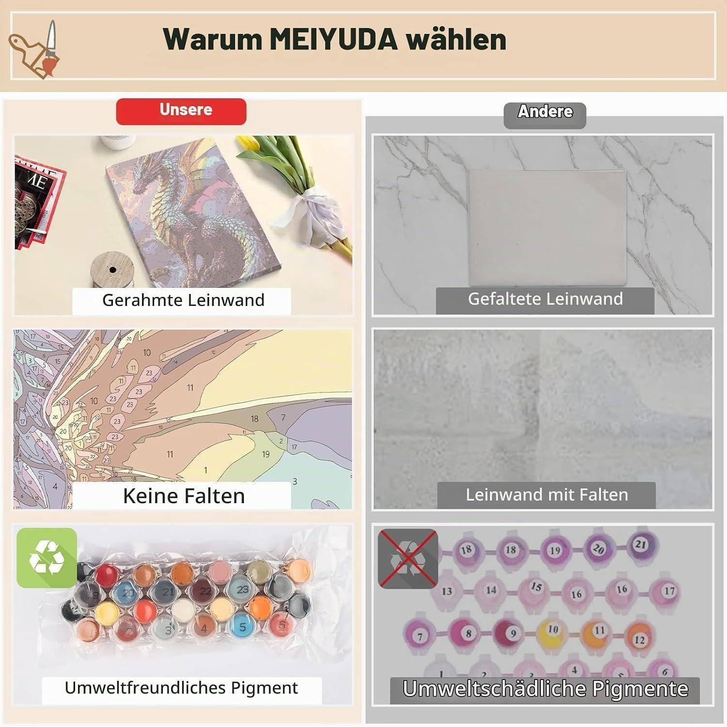 Vergleichsgrafik mit dem Titel „Warum MEIJUDA wählen