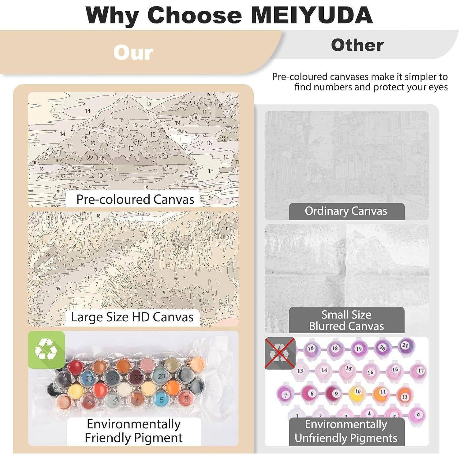 Vergleichsgrafik mit dem Titel „Warum MEIYUDA wählen