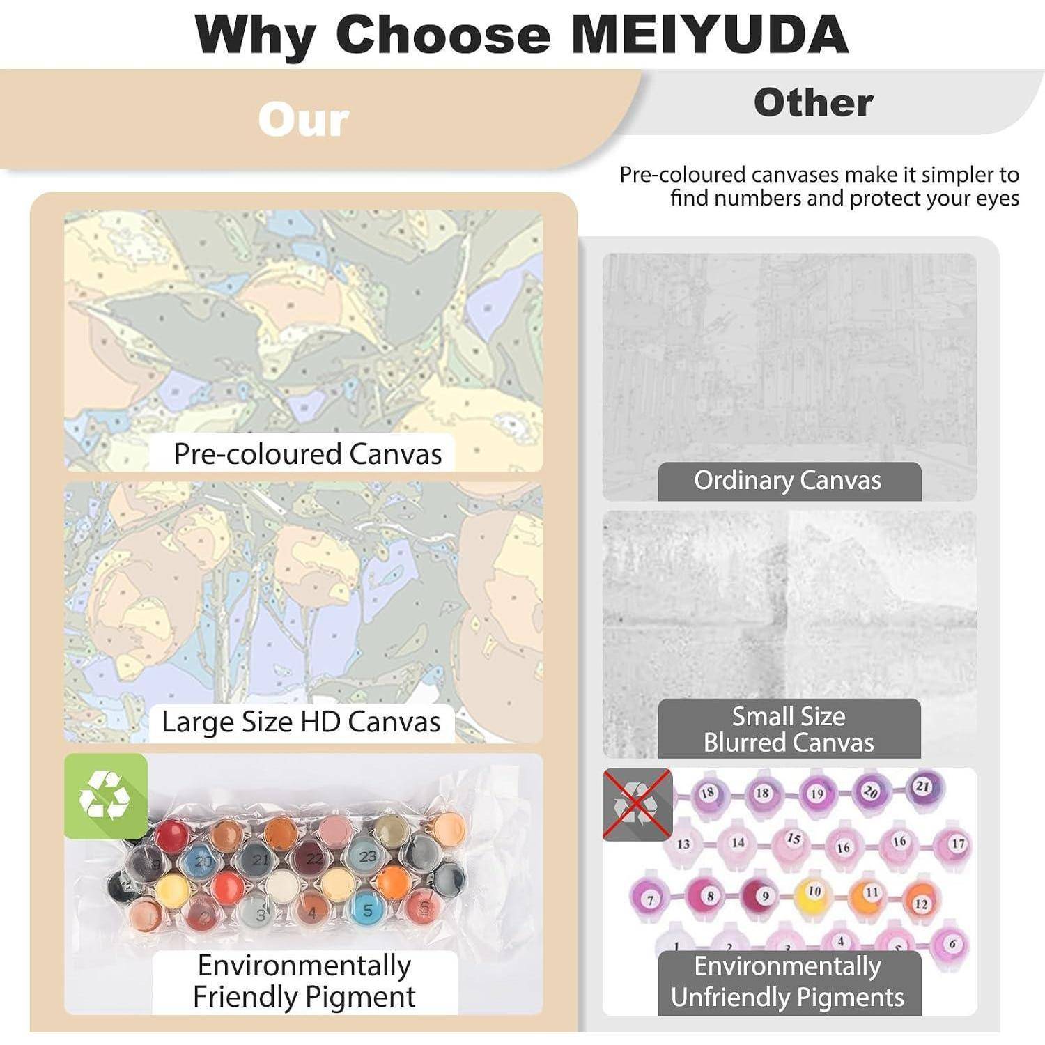 Vergleichsinfografik: MEIYUDA bietet vorgefärbte, großformatige HD-Leinwände und umweltfreundliche Pigmente; andere Leinwände sind gewöhnlich, klein, verschwommen und verwenden umweltschädliche Pigmente.