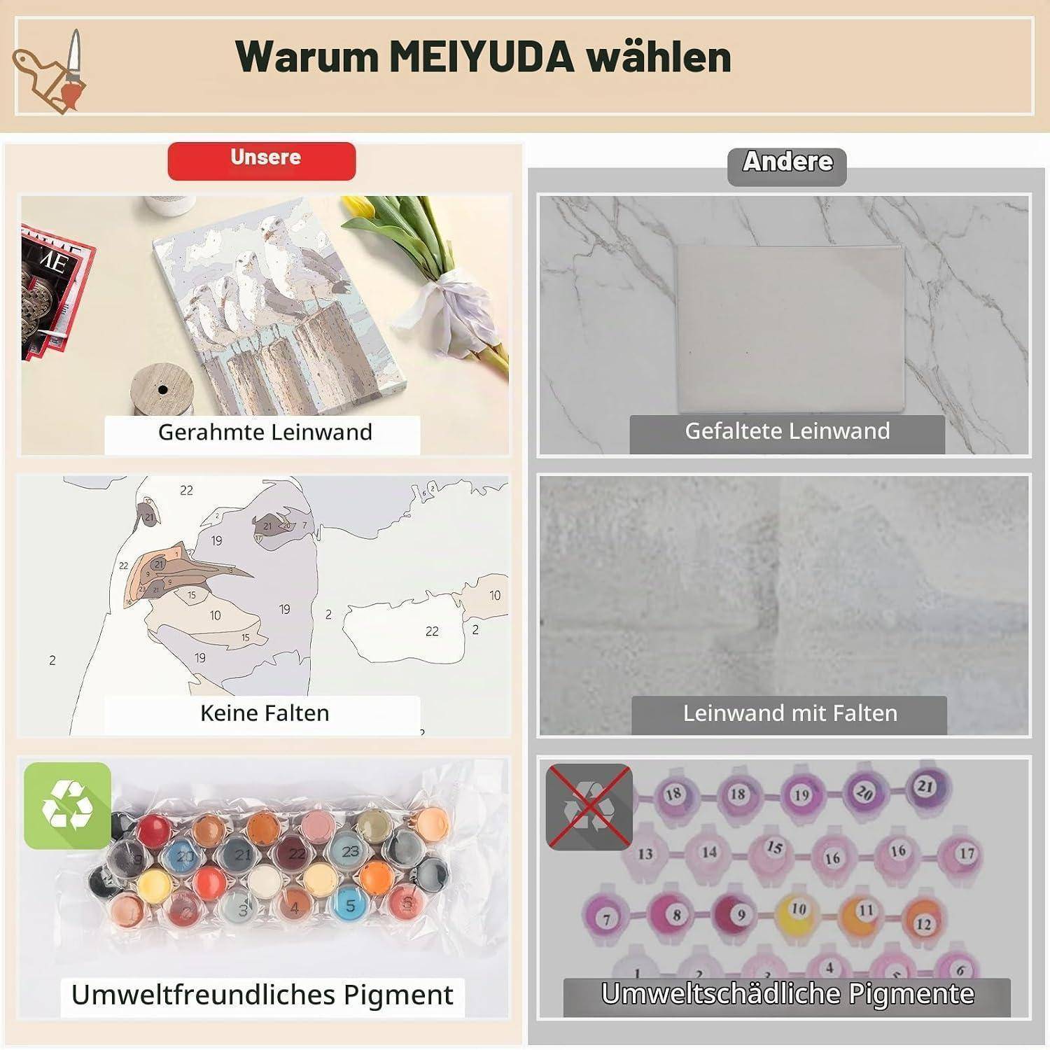 MEIYUDA Malen Nach Zahlen Erwachsene mit Rahmen Tier, DIY Möwen Set Handgemalt Ölgemälde Kit für Anfänger und Erwachsene Mit 3 Pinseln und Acrylf