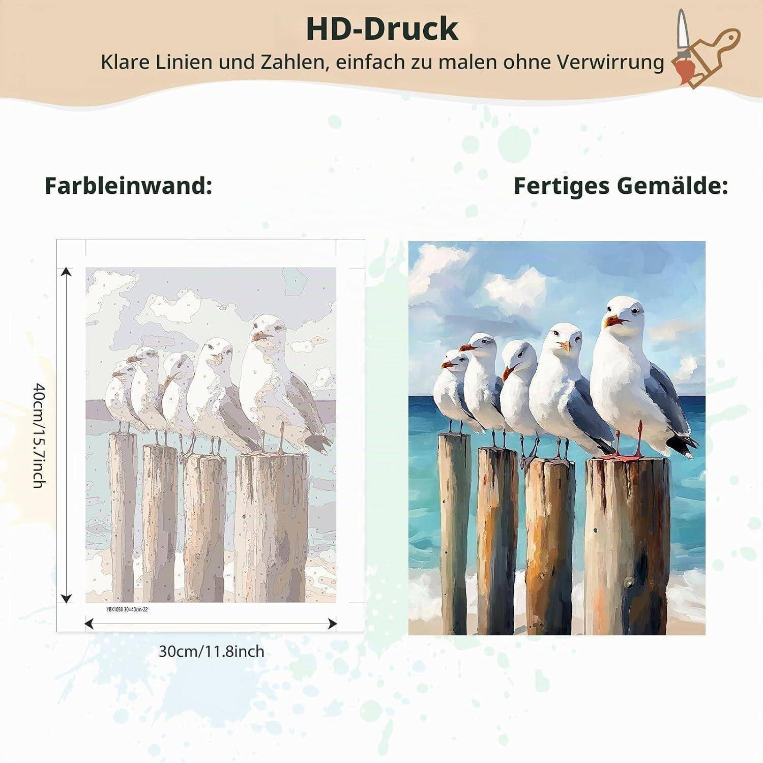 Werbeanzeige für ein HD-Druckmal-nach-Zahlen-Set: Referenz-Umriss auf der linken Seite und fertig gemalte Möwenmalerei auf der rechten Seite, beschriftet mit 30 cm x 40 cm.
