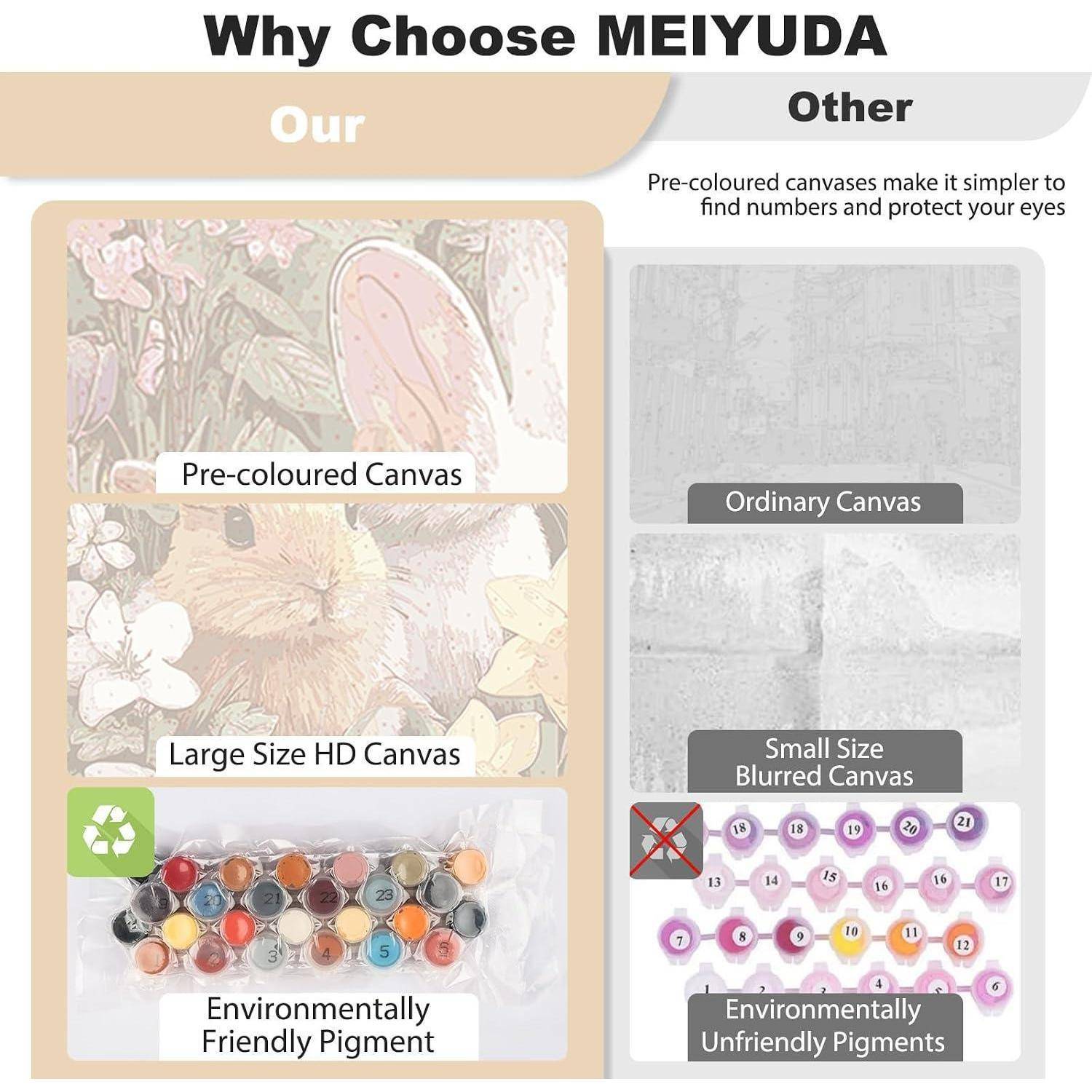 Vergleich-Infografik mit dem Titel „Warum MEIYUDA wählen