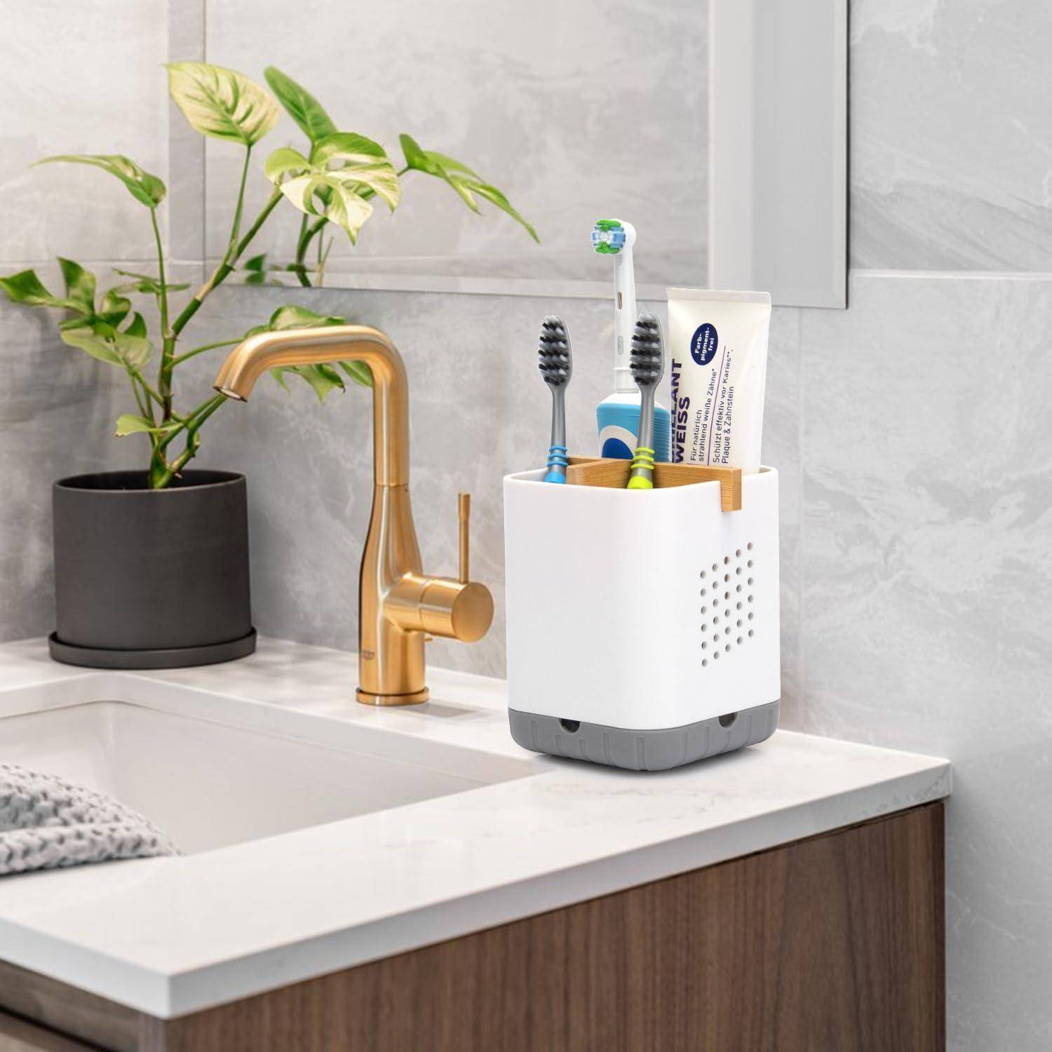 Badezimmerspüle mit goldenem Wasserhahn, Topfpflanze und Zahnbürstenhalter auf der Arbeitsplatte mit elektrischer und manueller Zahnbürste sowie Zahnpasta.