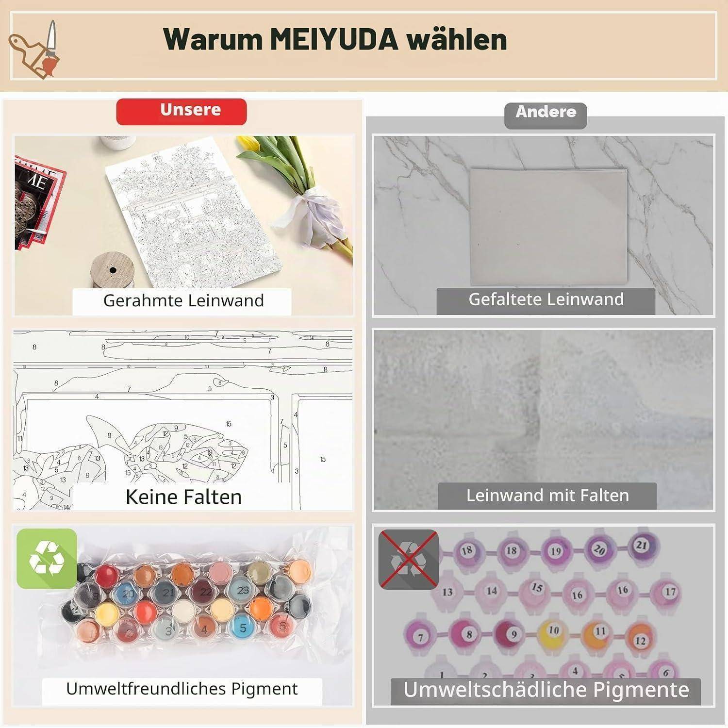 Infografik mit dem Titel „Warum MEIJUDA wählen