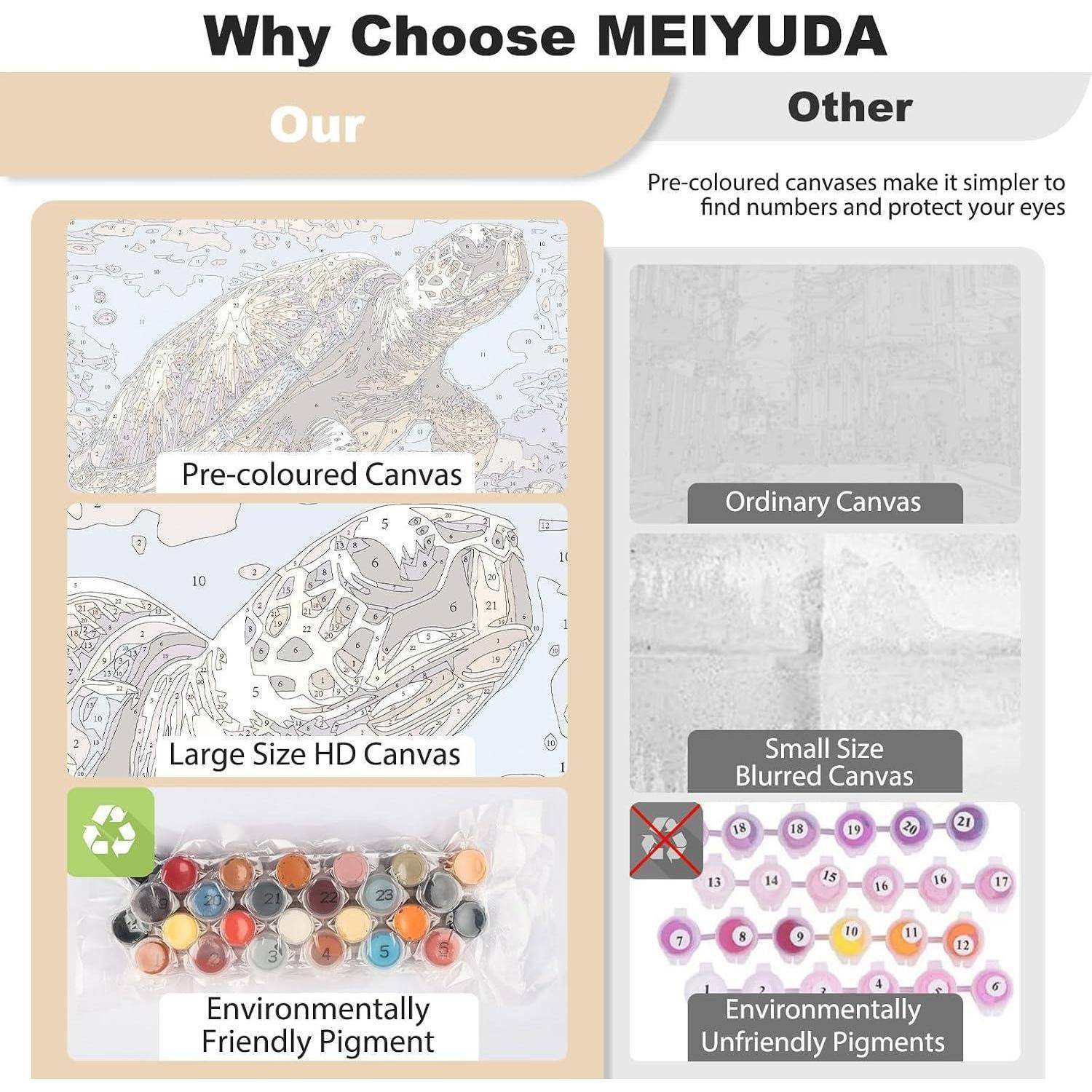 Vergleichsgrafik mit dem Titel „Warum MEIYUDA wählen