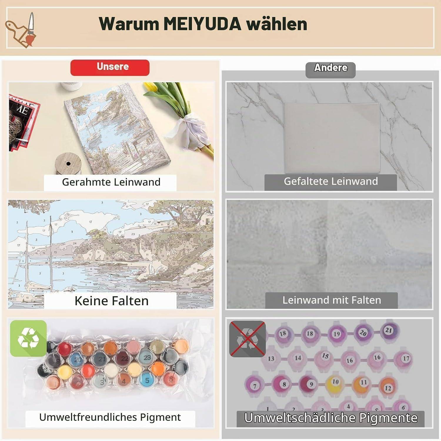 Vergleichsgrafik mit dem Titel „Warum MEIYUDA wählen