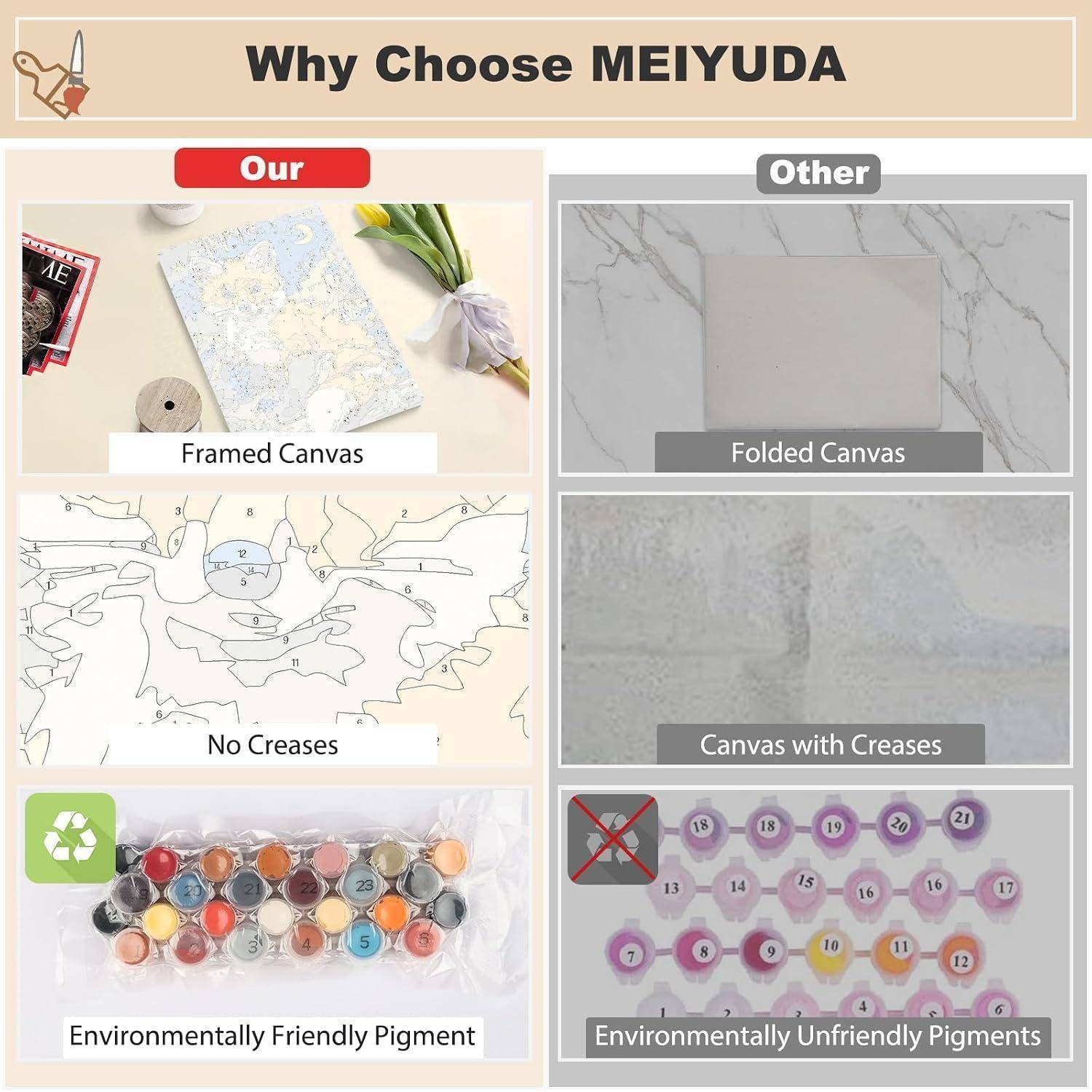 Vergleichsgrafik mit dem Titel „Warum MEIYUDA wählen