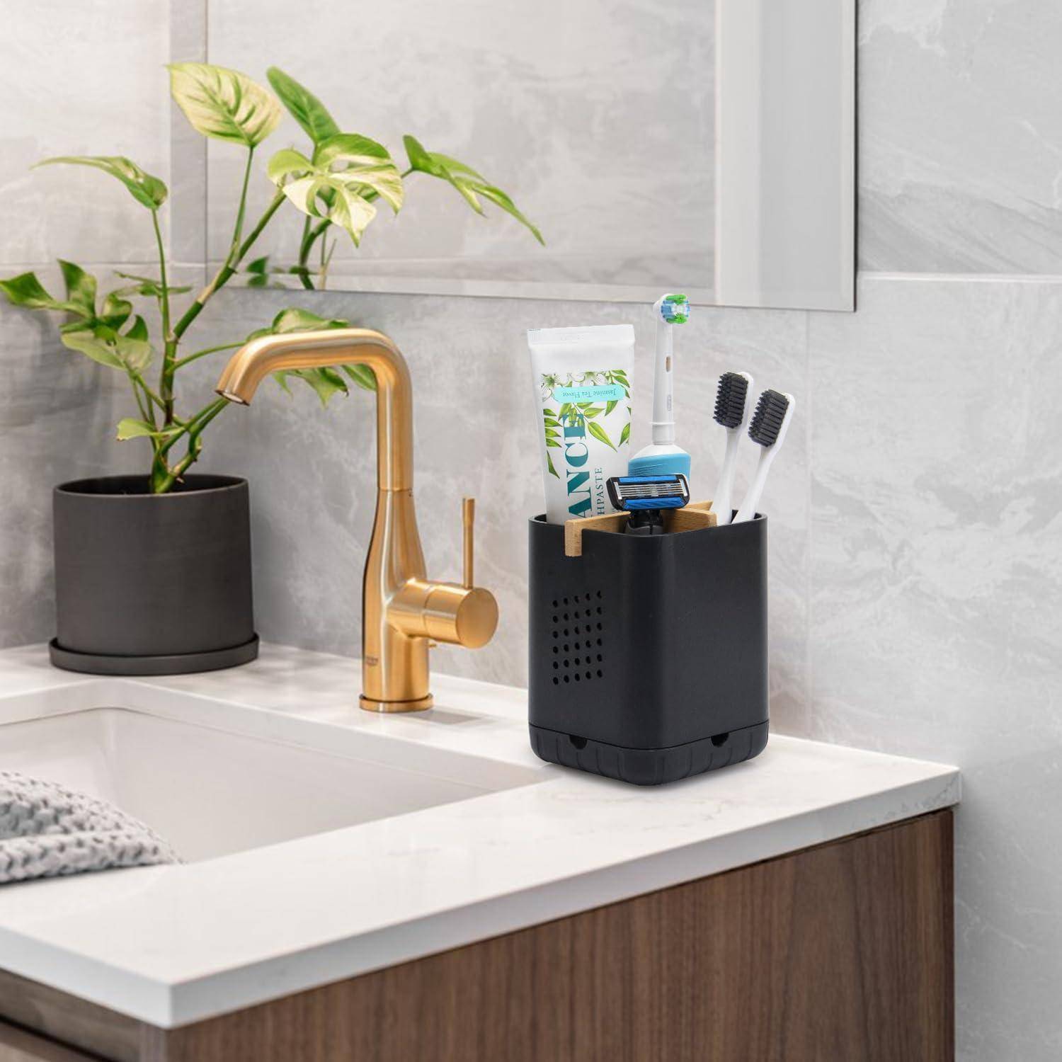 Badezimmerablage mit goldenem Wasserhahn, Topfpflanze und schwarzem Organizer, der Zahnbürsten, Zahnpasta und Rasierer neben dem Waschbecken hält.