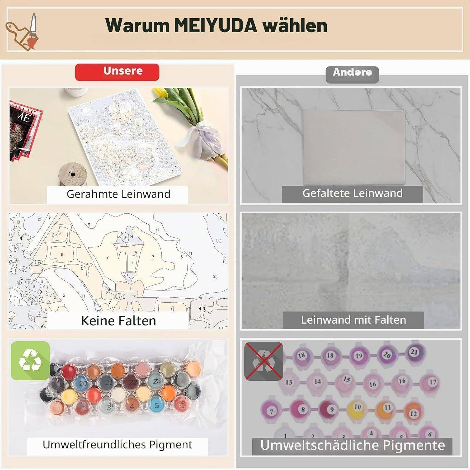 Vergleichsgrafik, die zeigt, warum MEIYUDA gewählt wird: Leinwand im Rahmen, keine Falten, umweltfreundliches Pigment, versus gefaltete Leinwand, zerknitterte Leinwand und schädliche Pigmente.