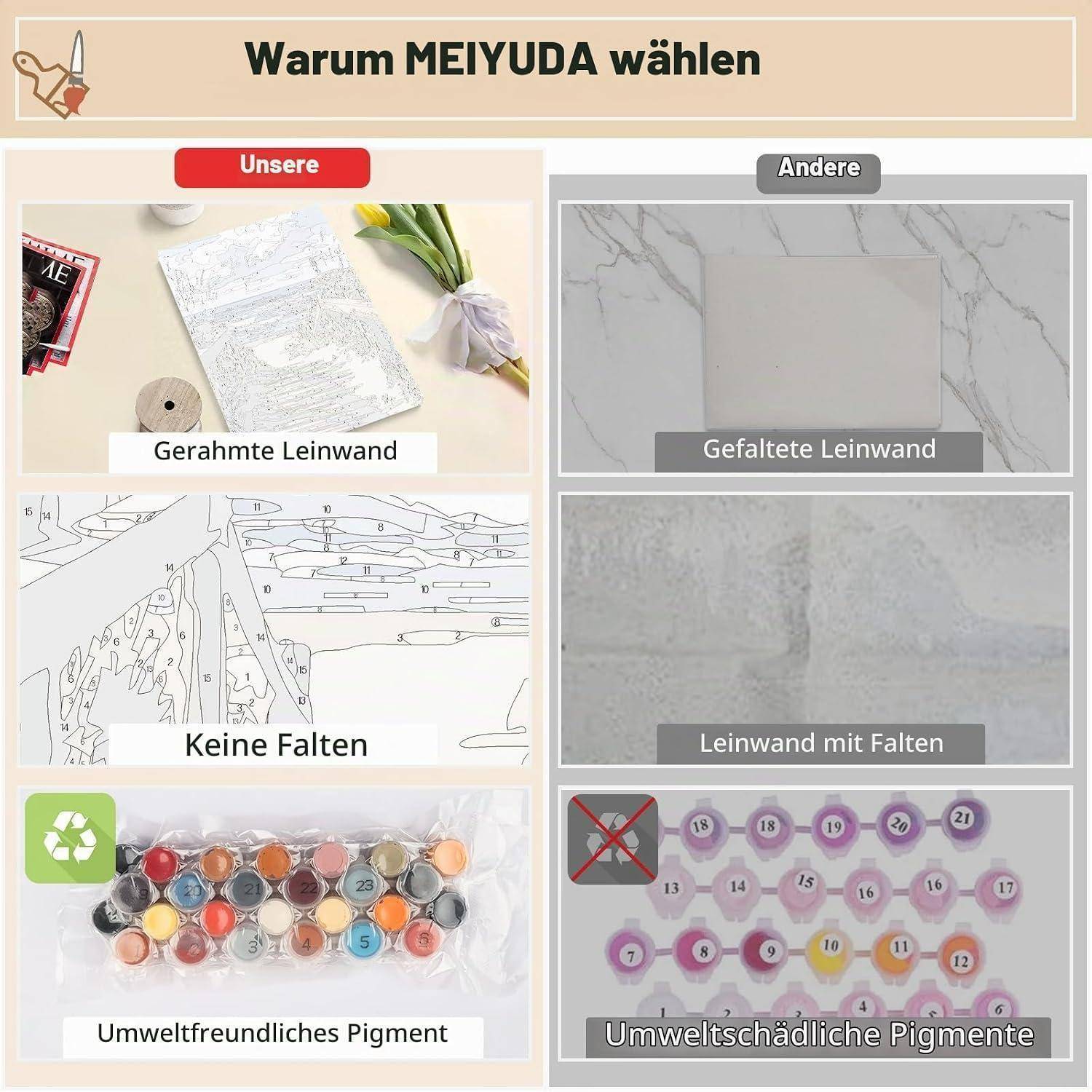 Vergleichsgrafik „Warum MEIYUDA wählen