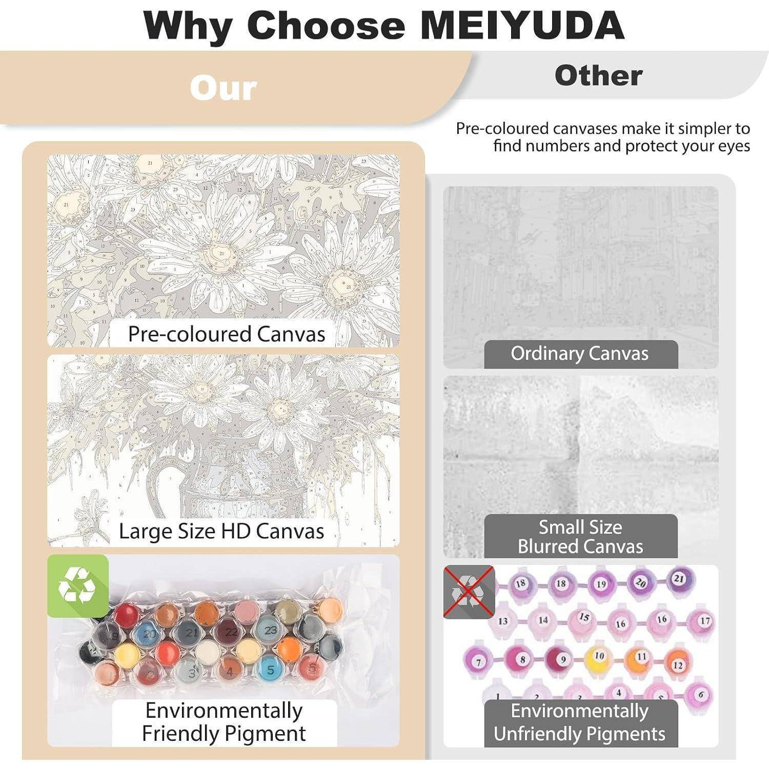 Vergleichsgrafik: MEIYUDA bietet vorgefärbte, großformatige HD-Leinwände; andere Kits verwenden gewöhnliche, unscharfe Leinwände und umweltschädliche Pigmente.