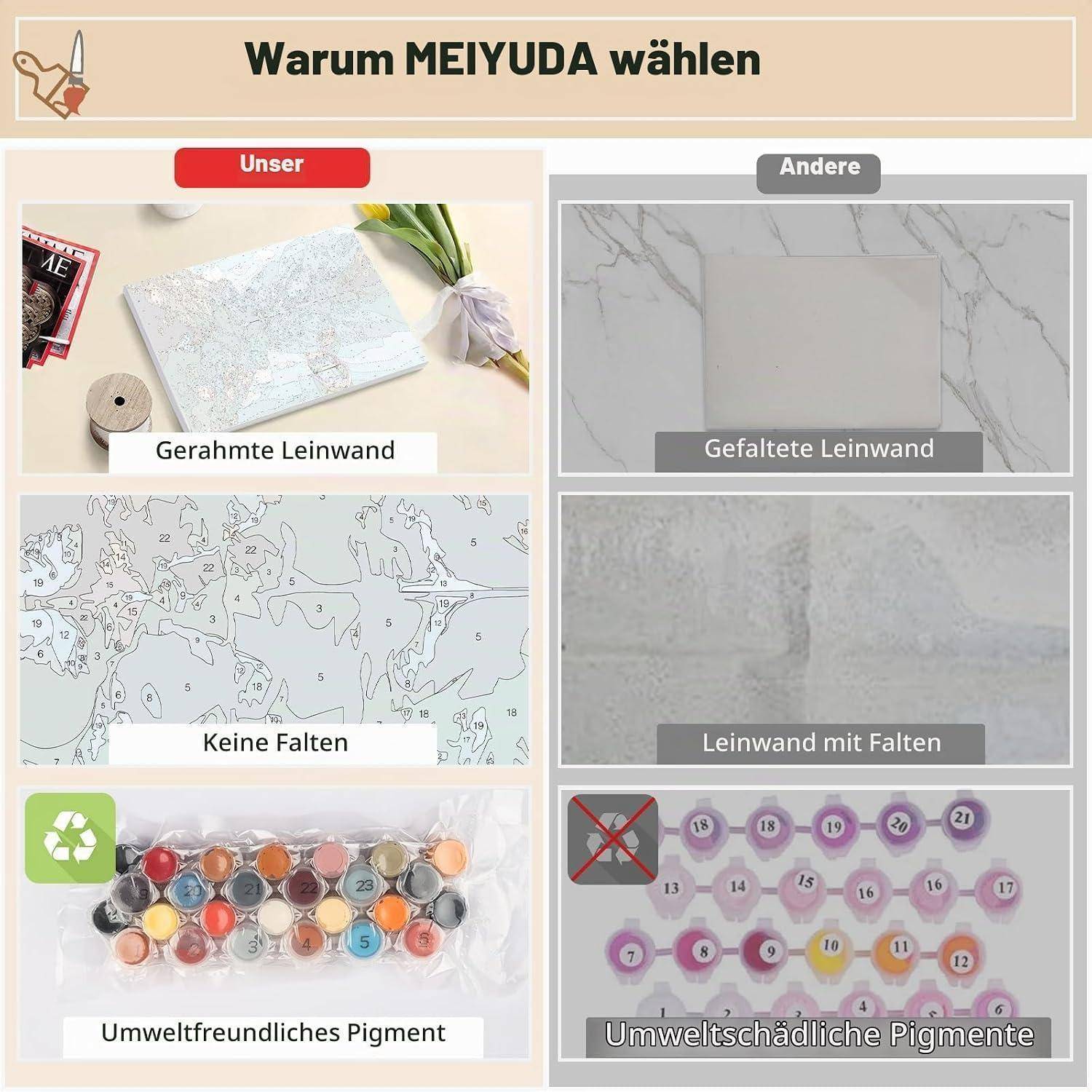 Vergleichsgrafik mit dem Titel „Warum MEIYUDA wählen