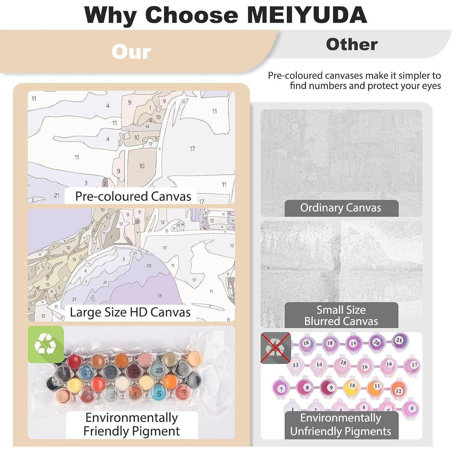Vergleichsgrafik, die die Vorteile von MEIYUDA zeigt: vorgefärbte, großformatige HD-Leinwand und umweltfreundliches Pigment gegenüber gewöhnlicher verschwommener Leinwand und schädlichen Pigmenten.