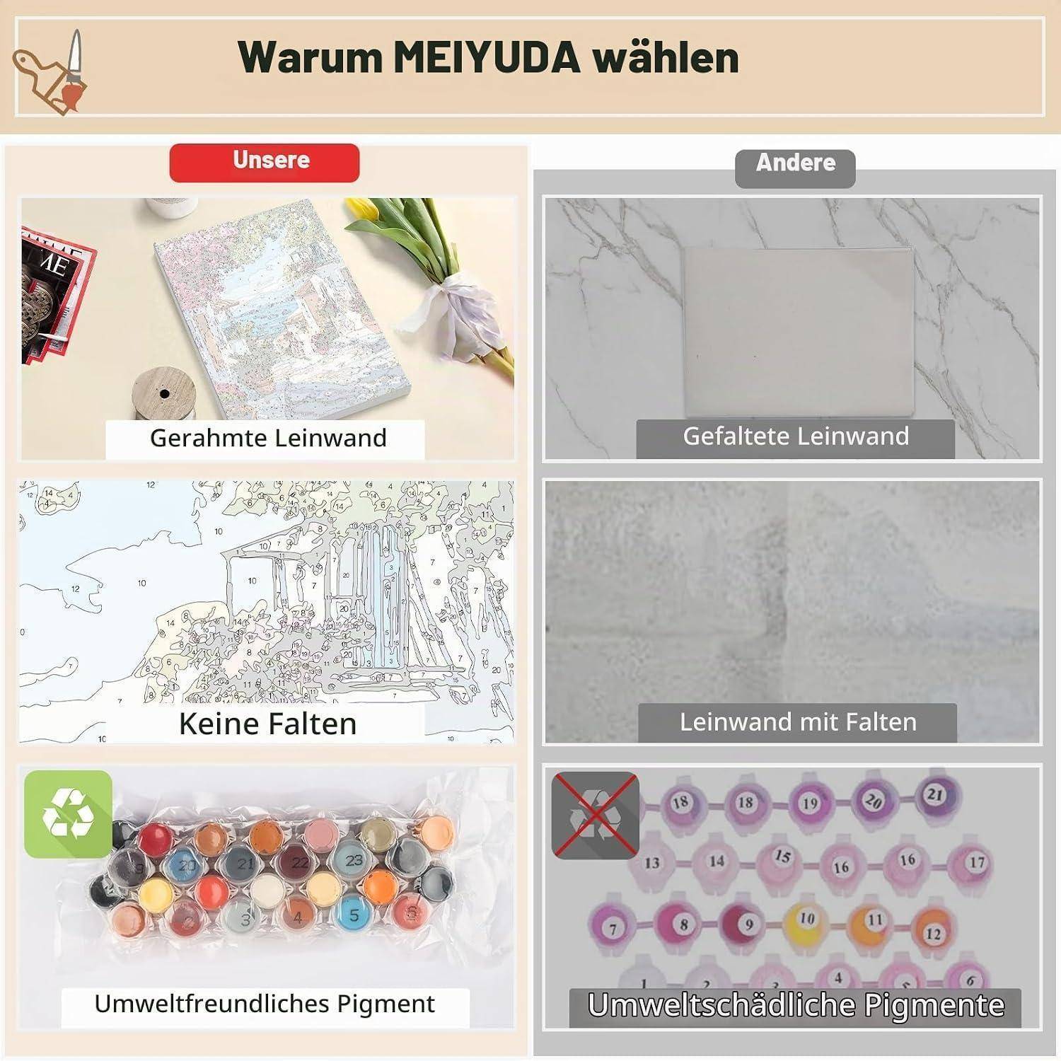 Vergleichsgrafik mit dem Titel „Warum MEIJYDA wählen