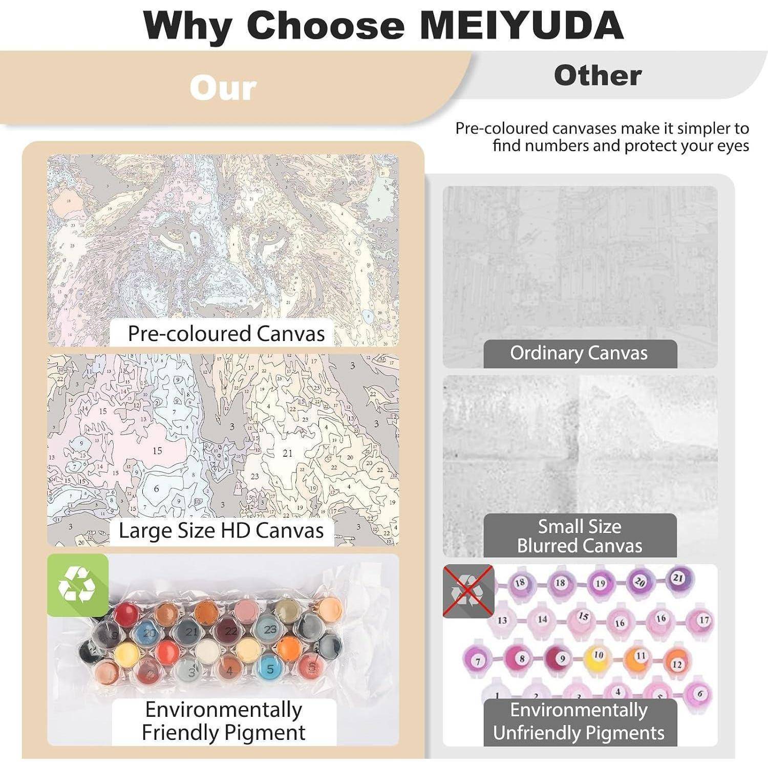 Vergleich-Infografik: MEIYUDA's vorkolorierte, großes HD-Leinwand und umweltfreundliche Pigmente versus gewöhnliche kleine unscharfe Leinwand und schädliche Pigmente; Vorkolorierung hilft beim Finden von Nummern und schützt die Augen.