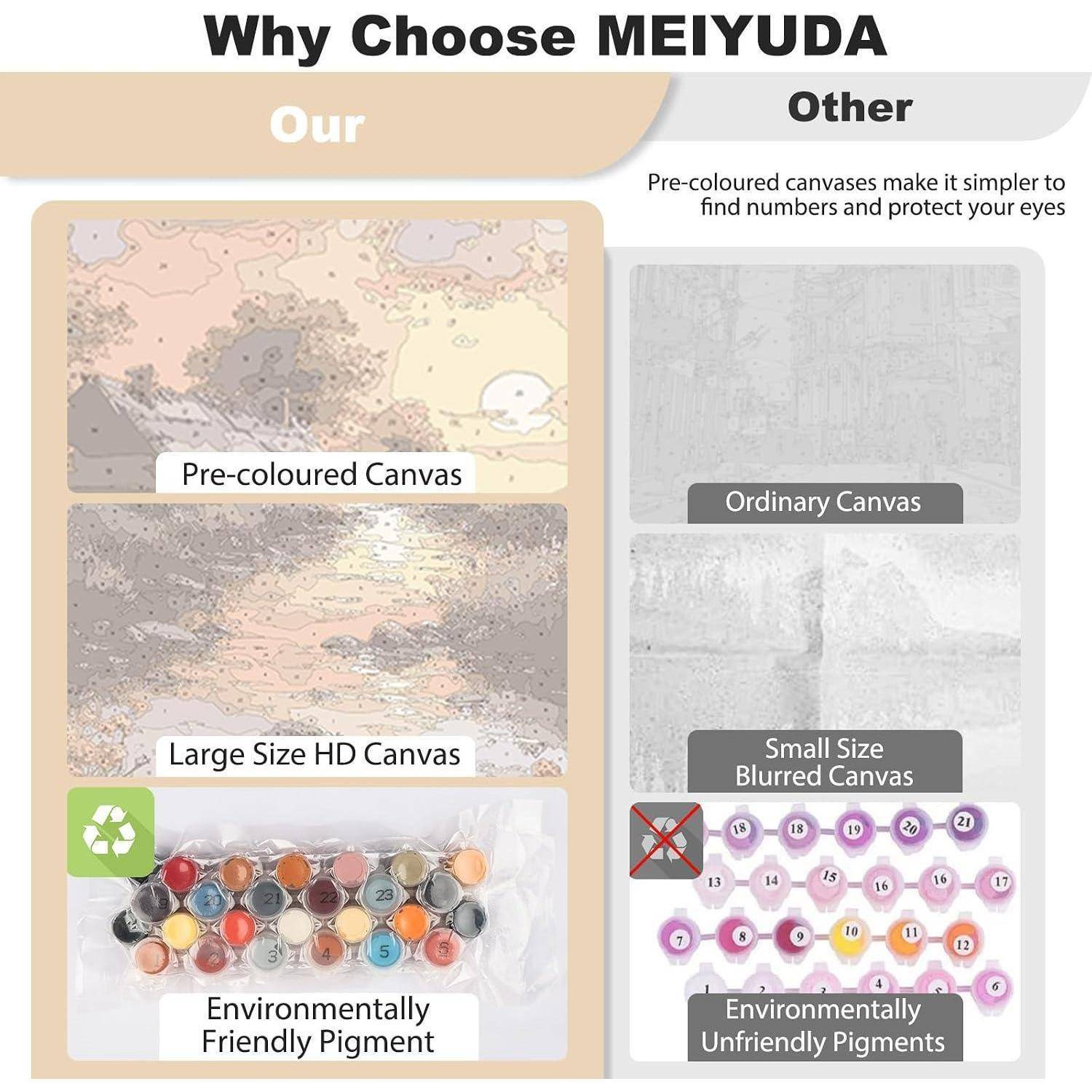 Vergleichsgrafik, die zeigt „Warum MEIYUDA wählen
