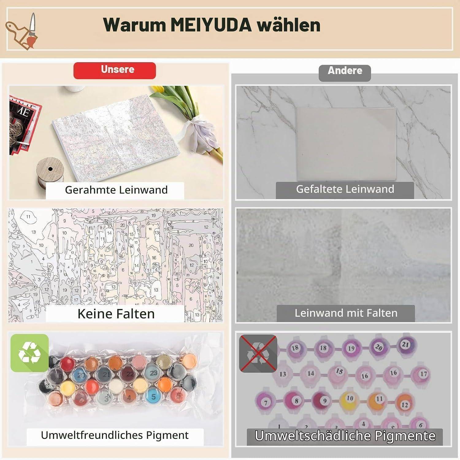 Vergleichsgrafik, die erklärt „Warum MEIJUDA wählen