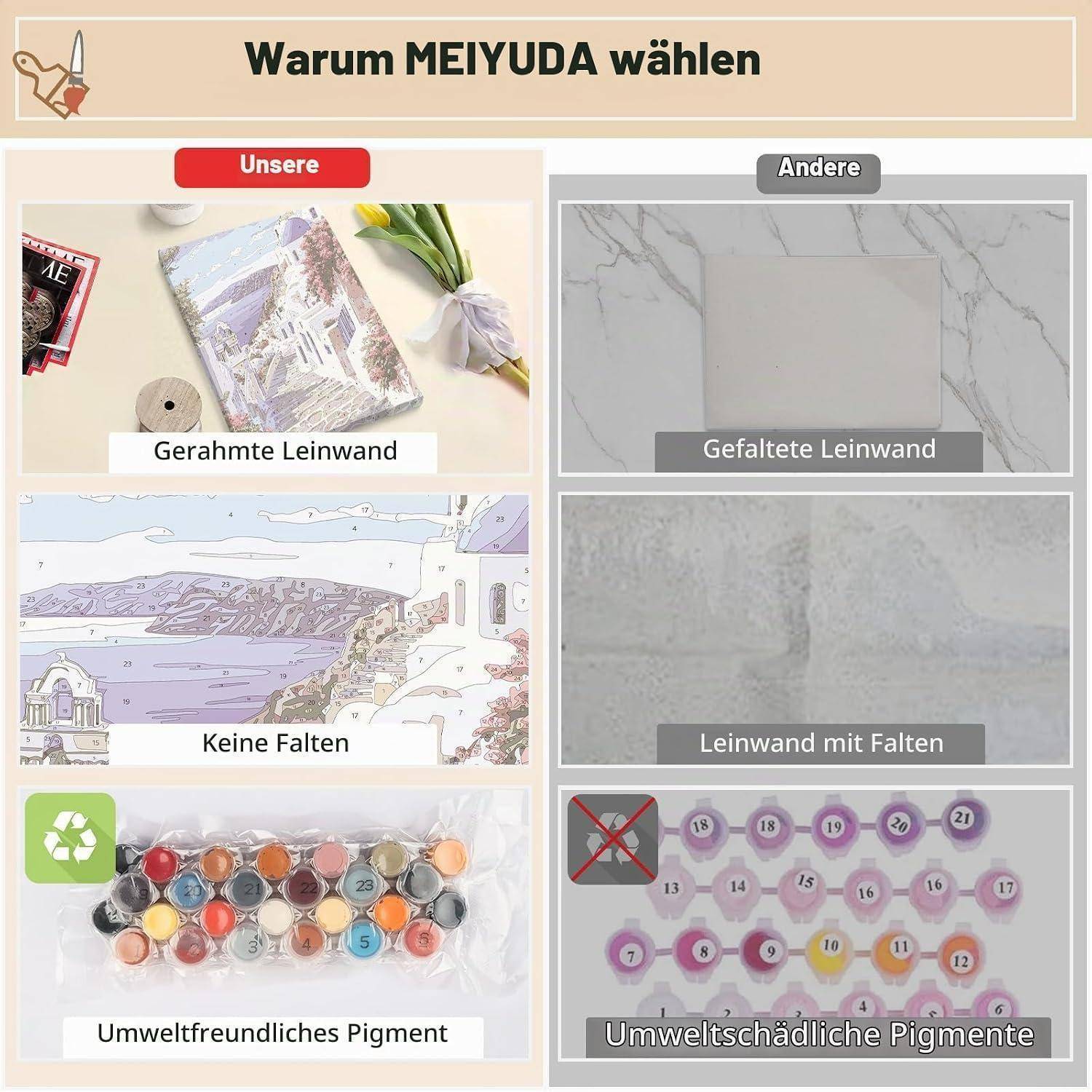 Vergleichstabelle mit dem Titel „Warum MEIJUDA wählen